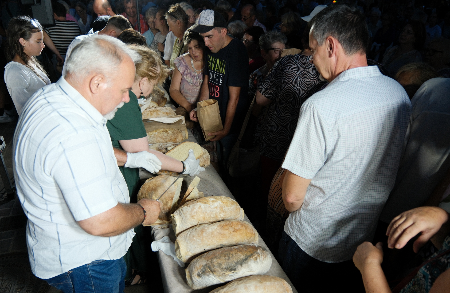 Zilele Culturii Maghiare Foto Niţescu (58)