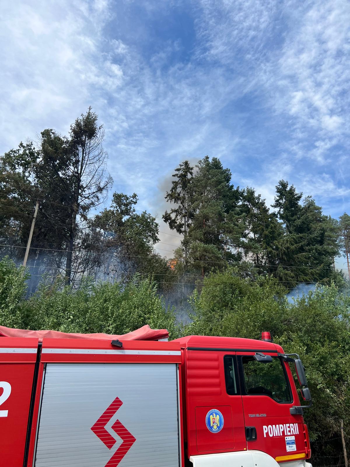 incendiu-vegetatie-bihor-pompieri-isu