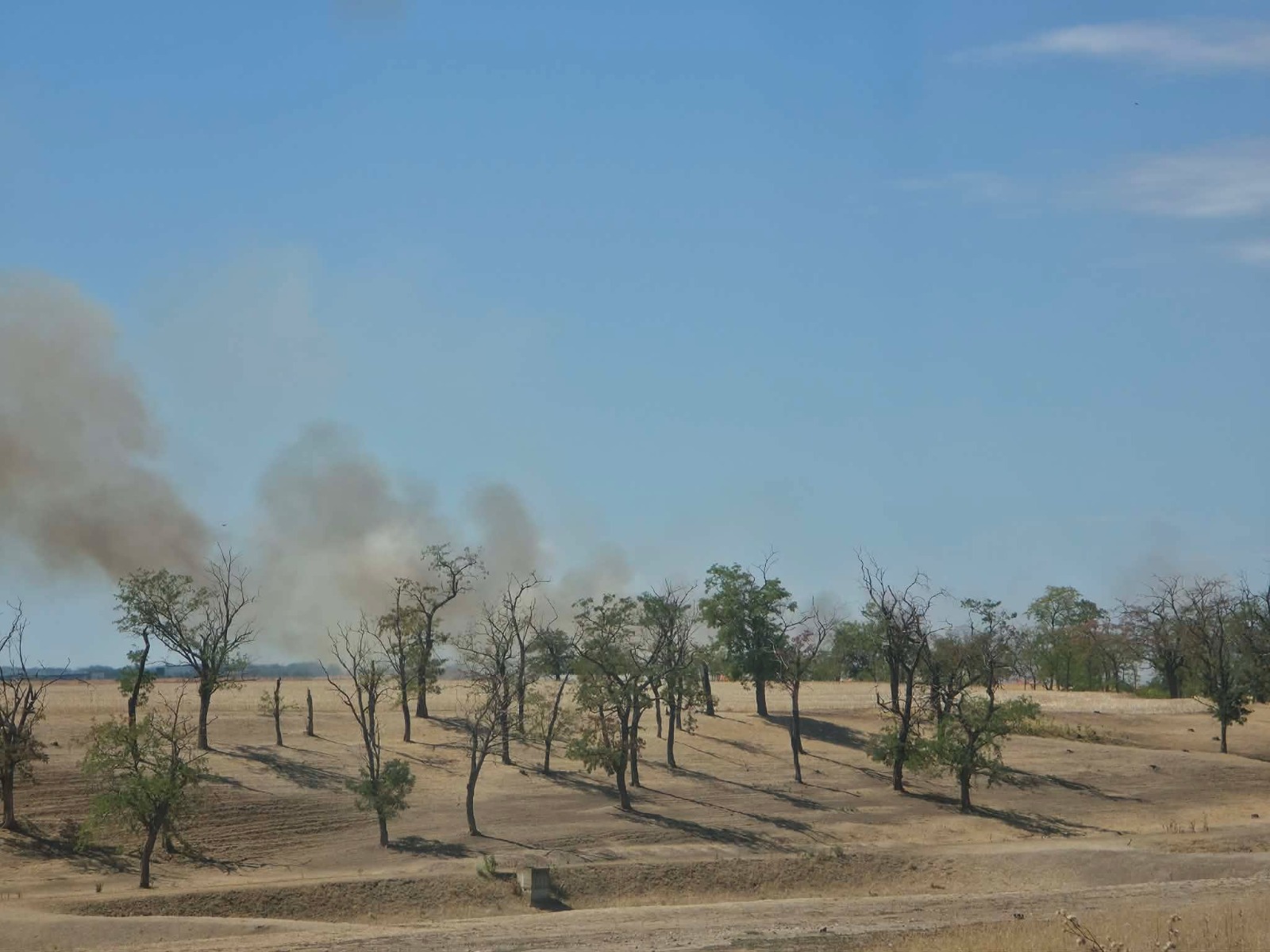 incendiu-vegetatie-livada-bihor