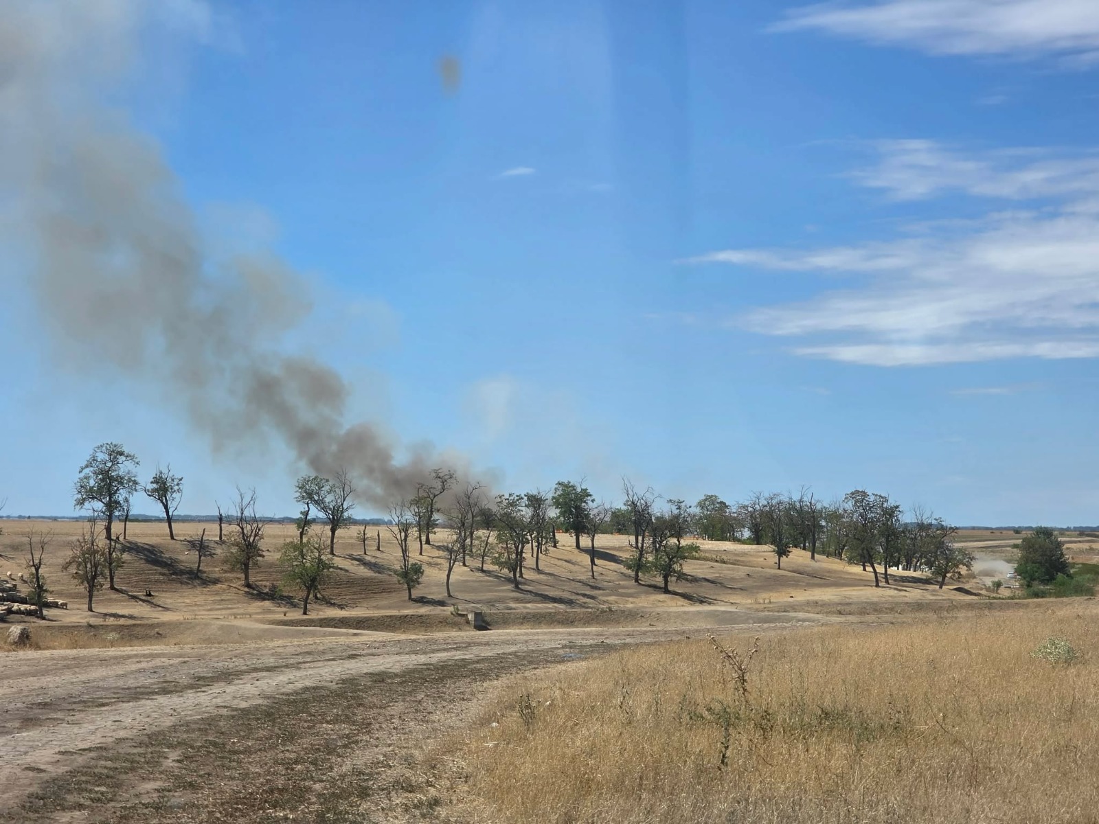 incendiu-vegetatie-livada-bihor