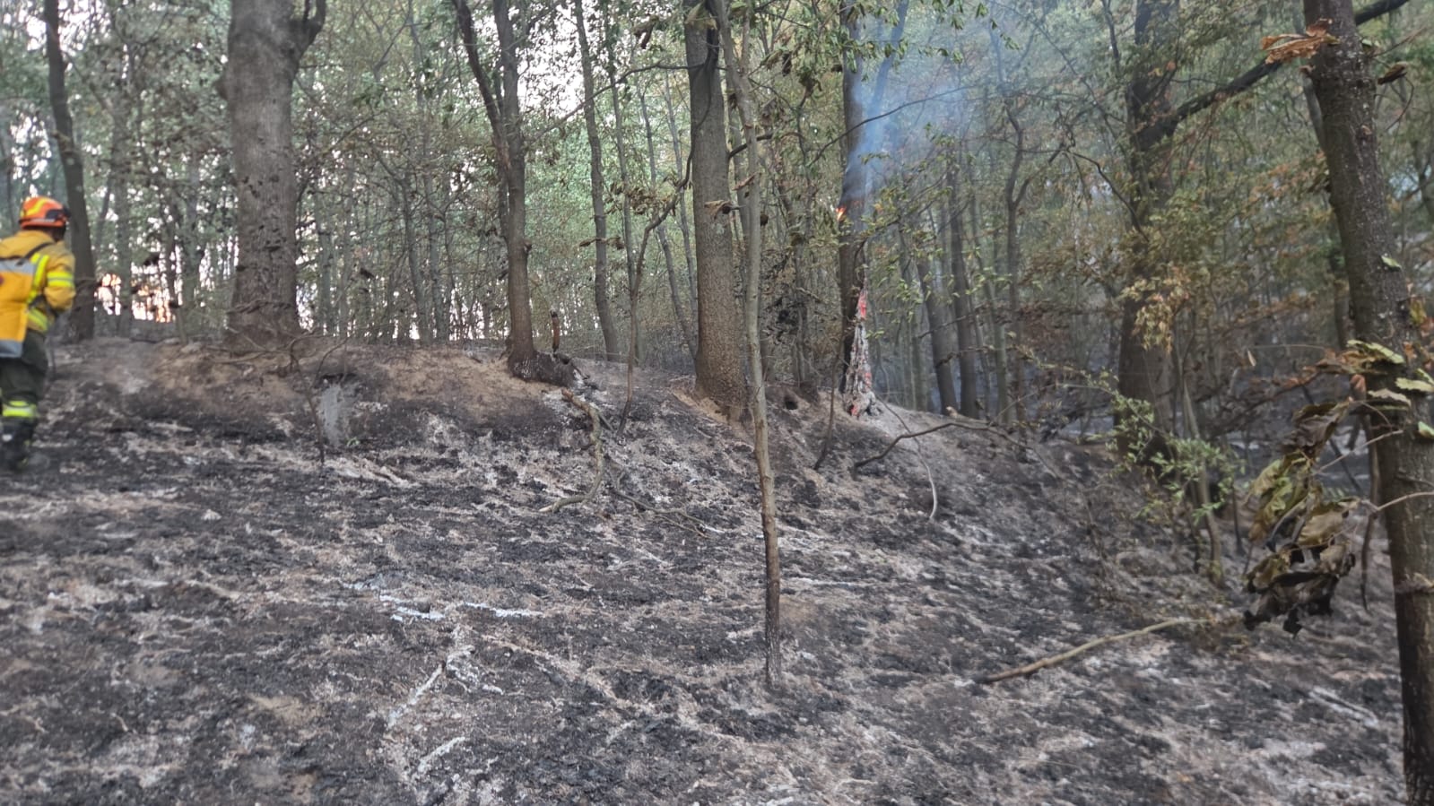 incendiu-vegetatie-bihor-paduri-isu-pompieri