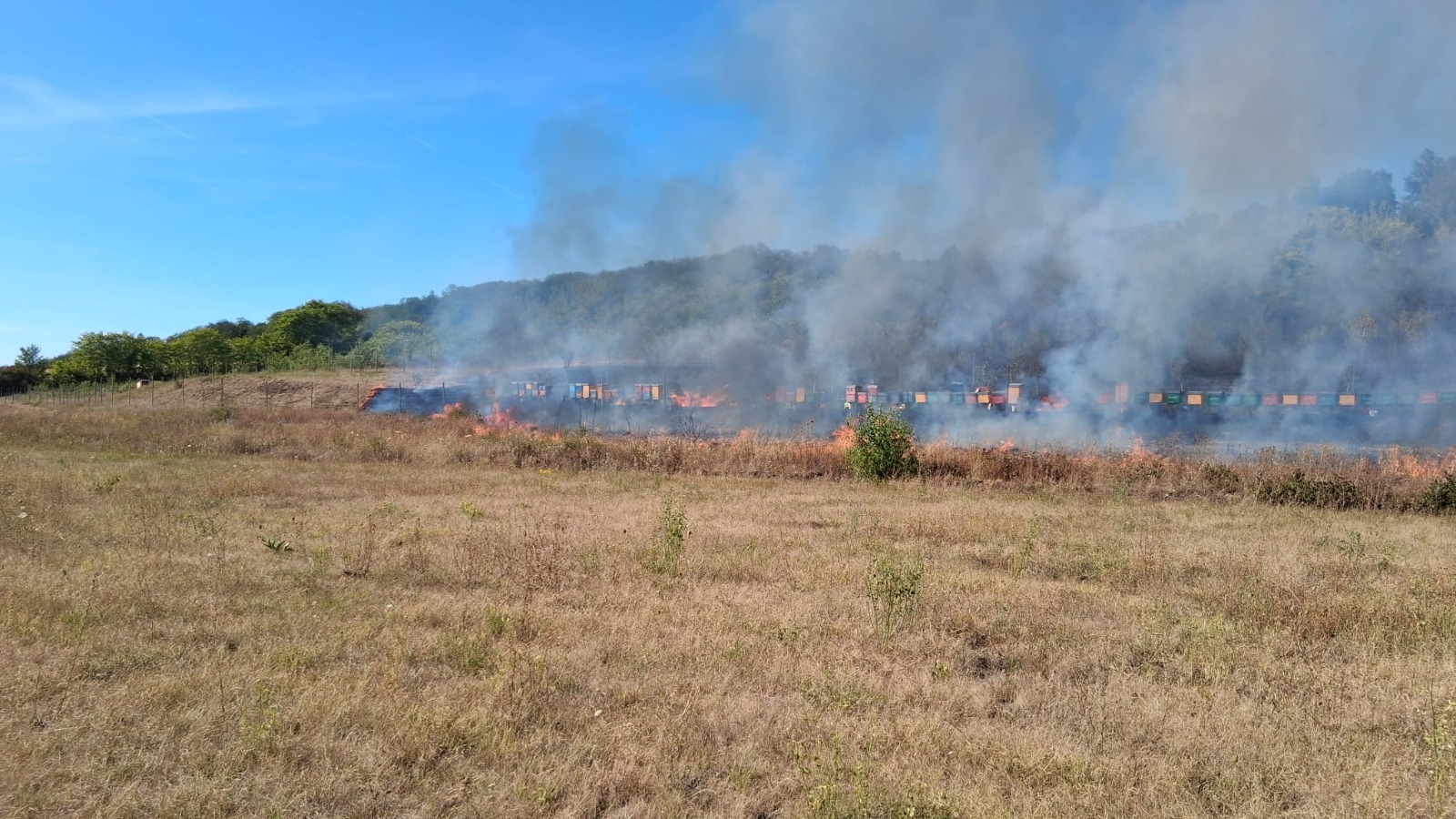 incendiu-vegetatie-bihor-paduri-isu-pompieri