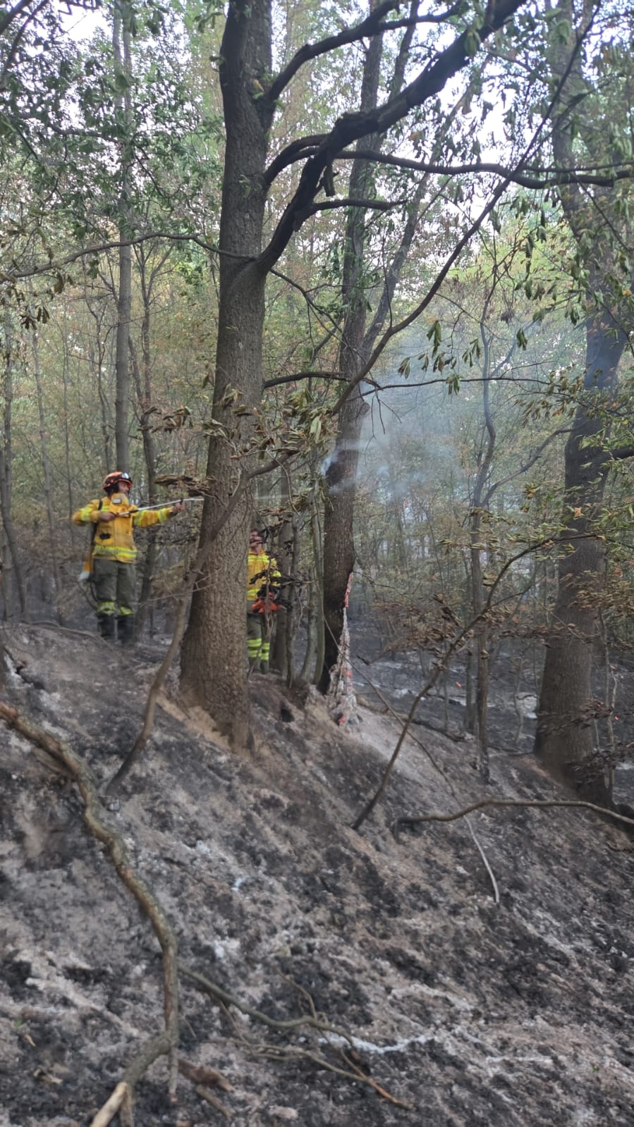 incendiu-vegetatie-bihor-paduri-isu-pompieri
