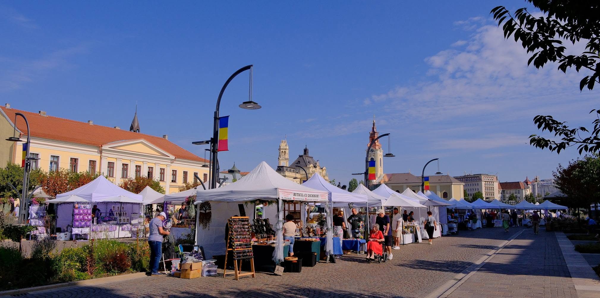 festivalul-lavandei-lavanda-festival