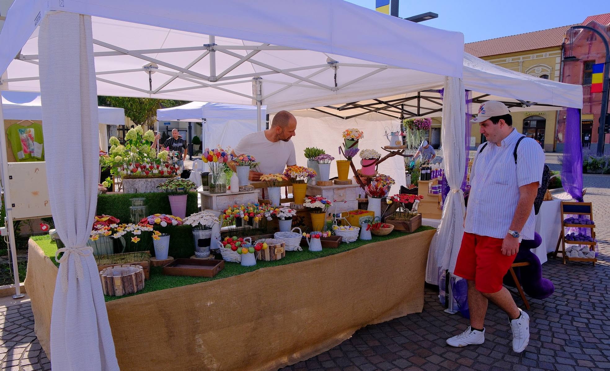 festivalul-lavandei-lavanda-festival