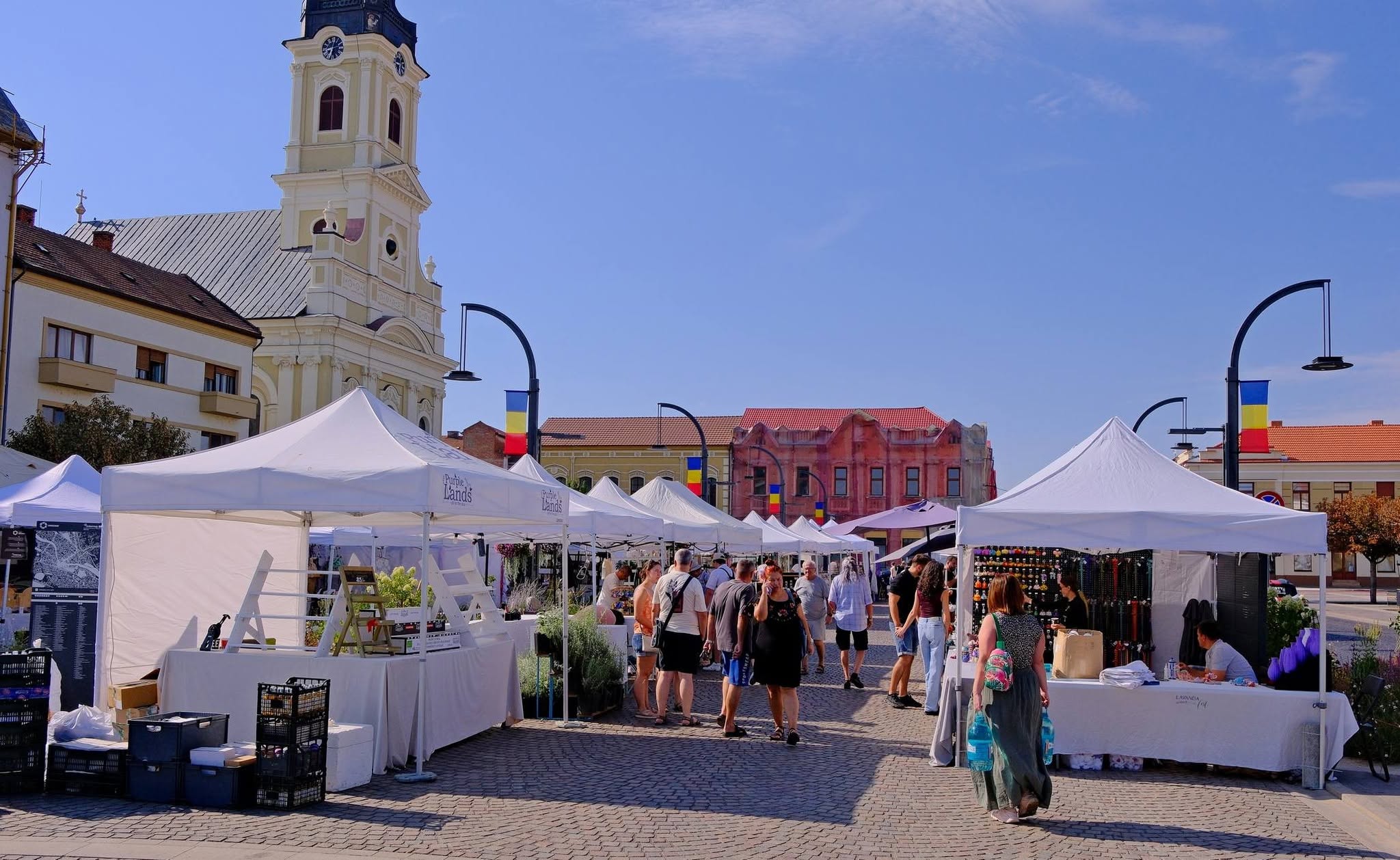 festivalul-lavandei-lavanda-festival