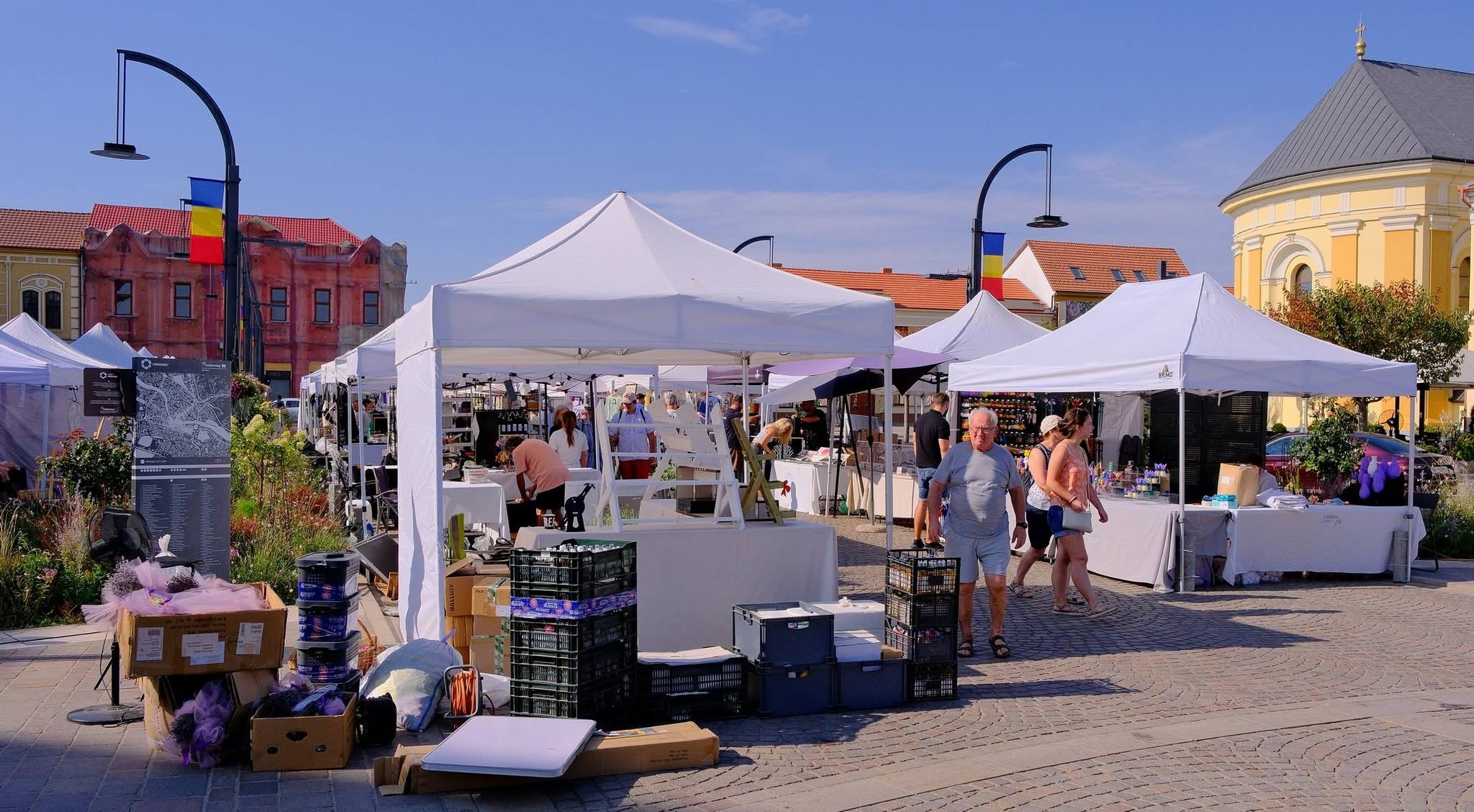 festivalul-lavandei-lavanda-festival