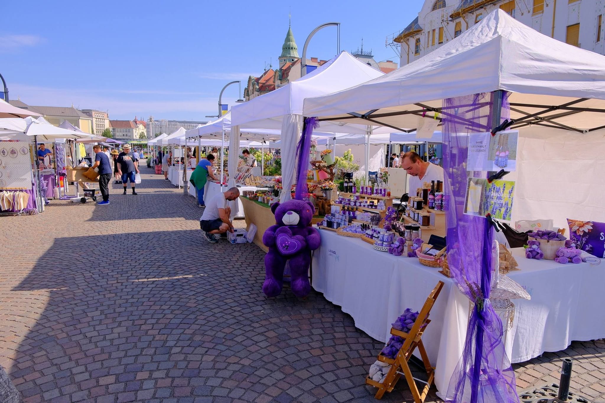 festivalul-lavandei-lavanda-festival