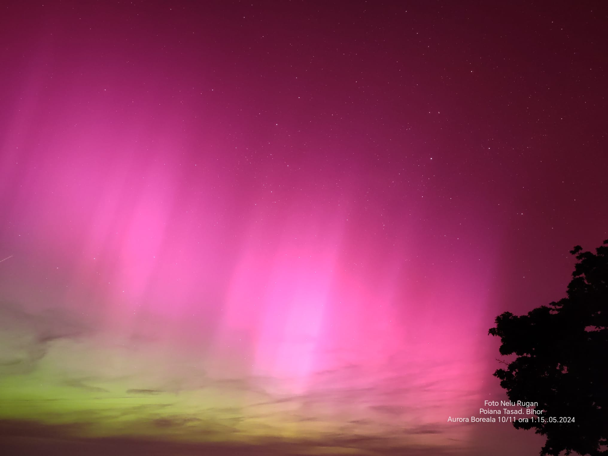 15aurora