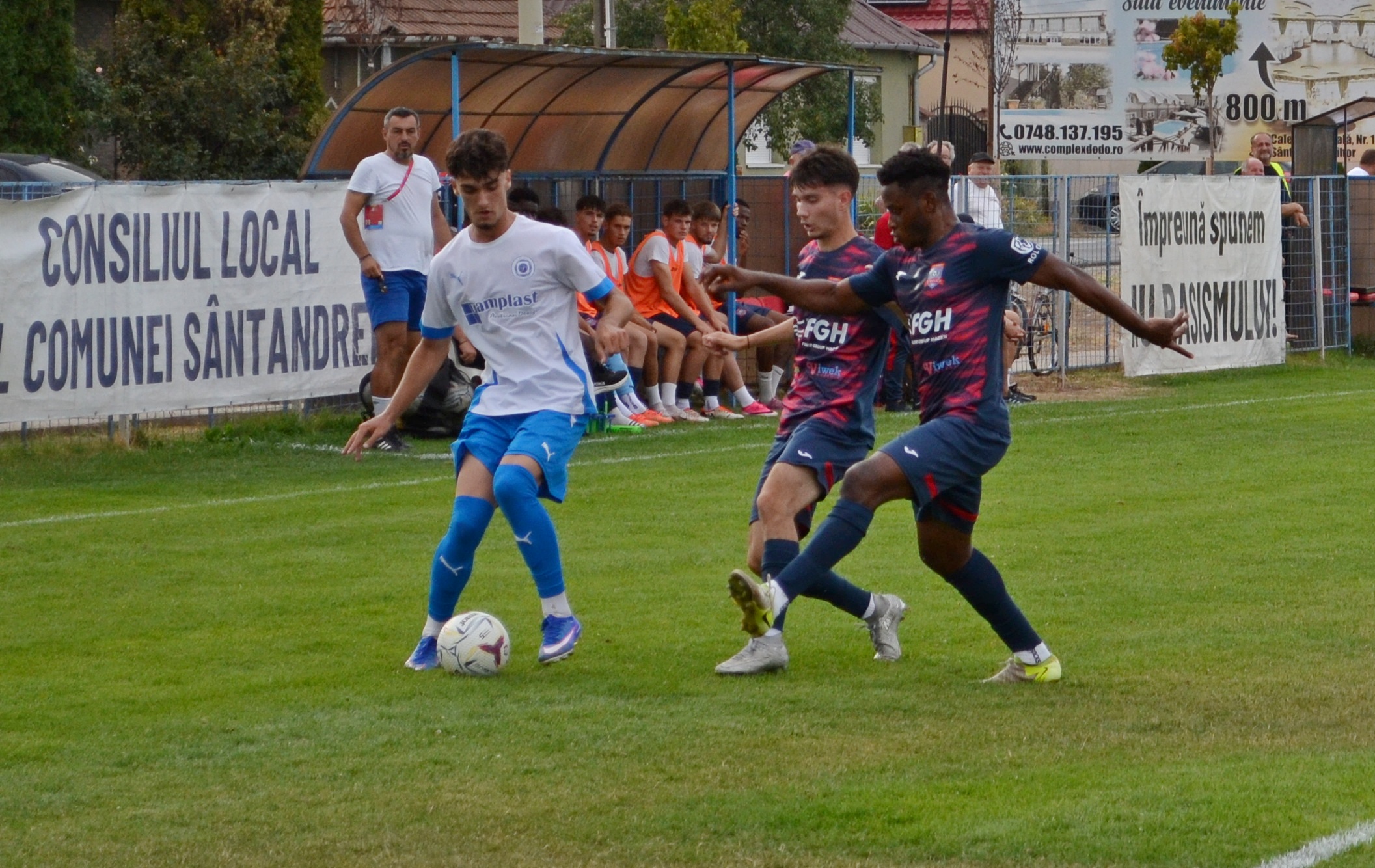 crisul21