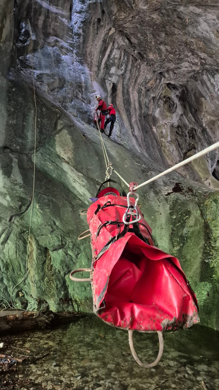 Salvaspeo România (37)