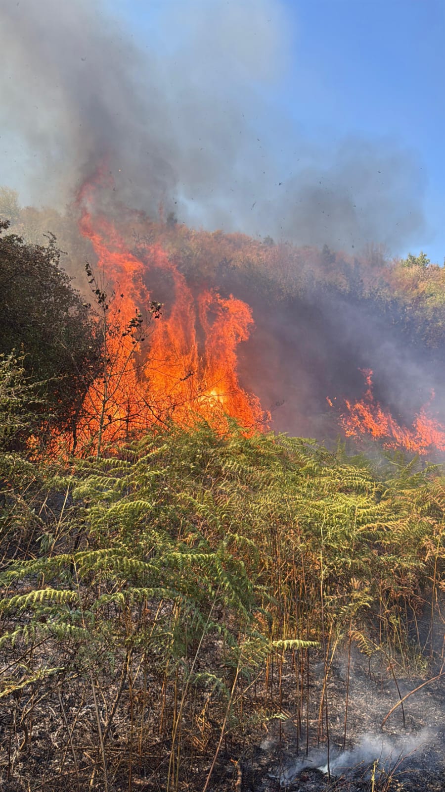 incendiu (5)