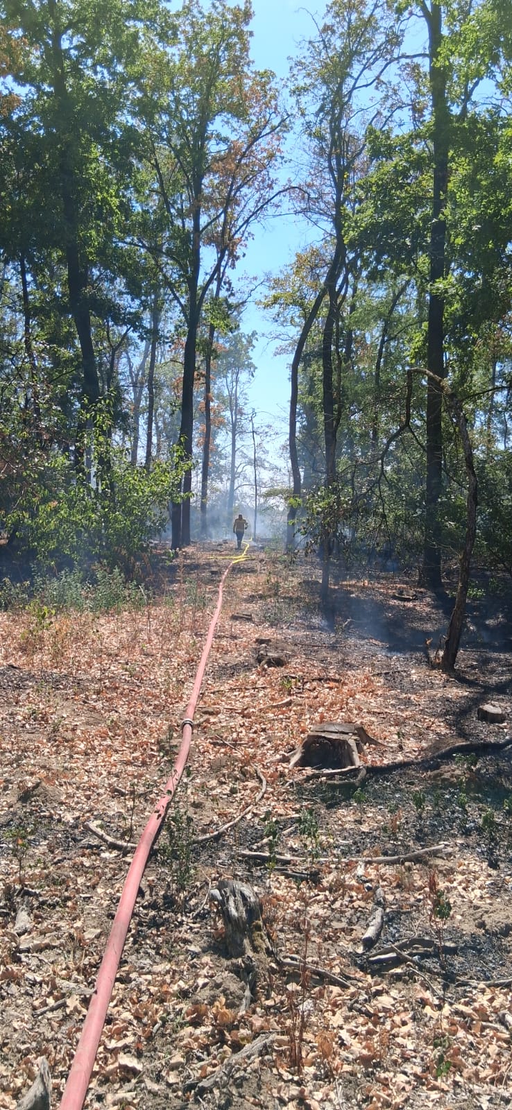 incendiu (1)