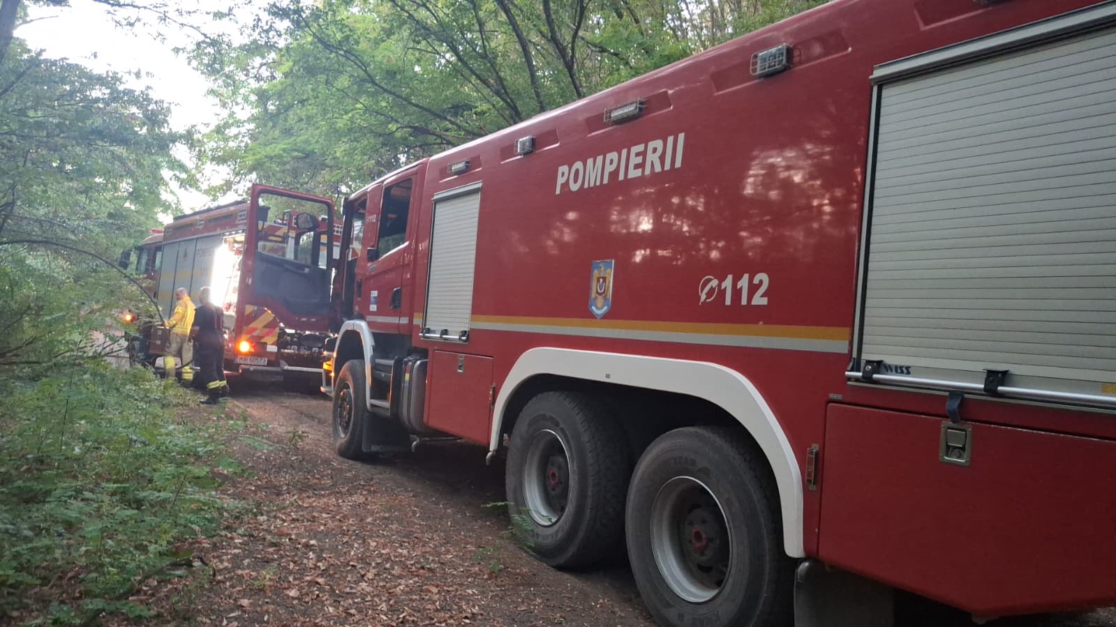 incendiu (6)