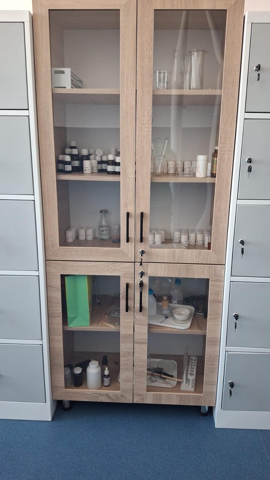cabinete scolare (5)