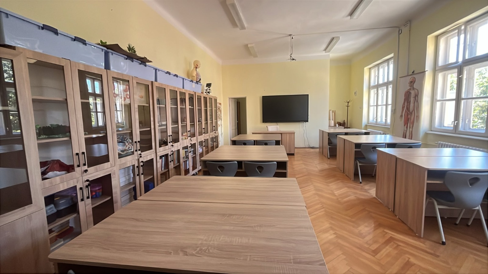 cabinete scolare (6)
