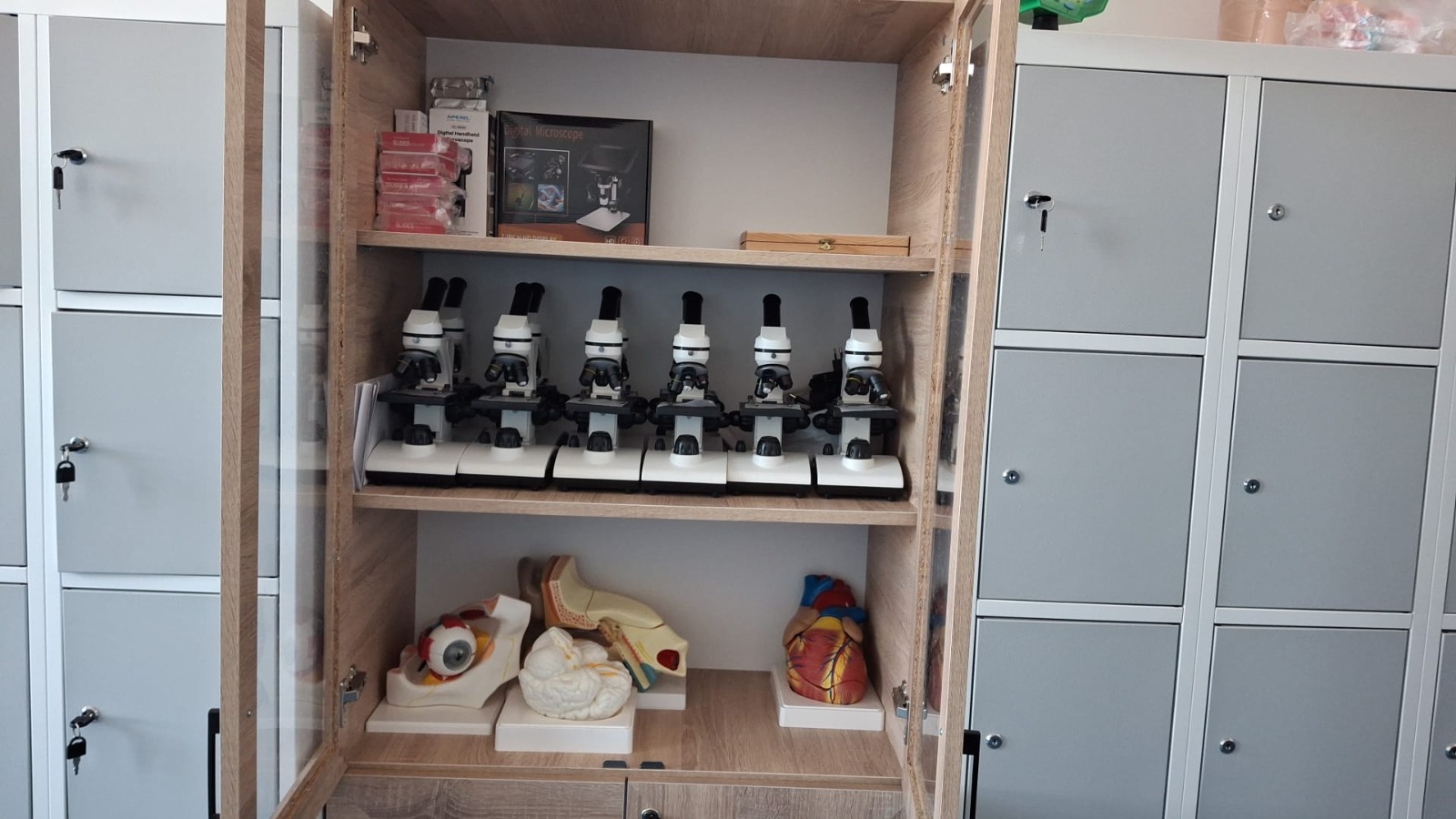 cabinete scolare (11)
