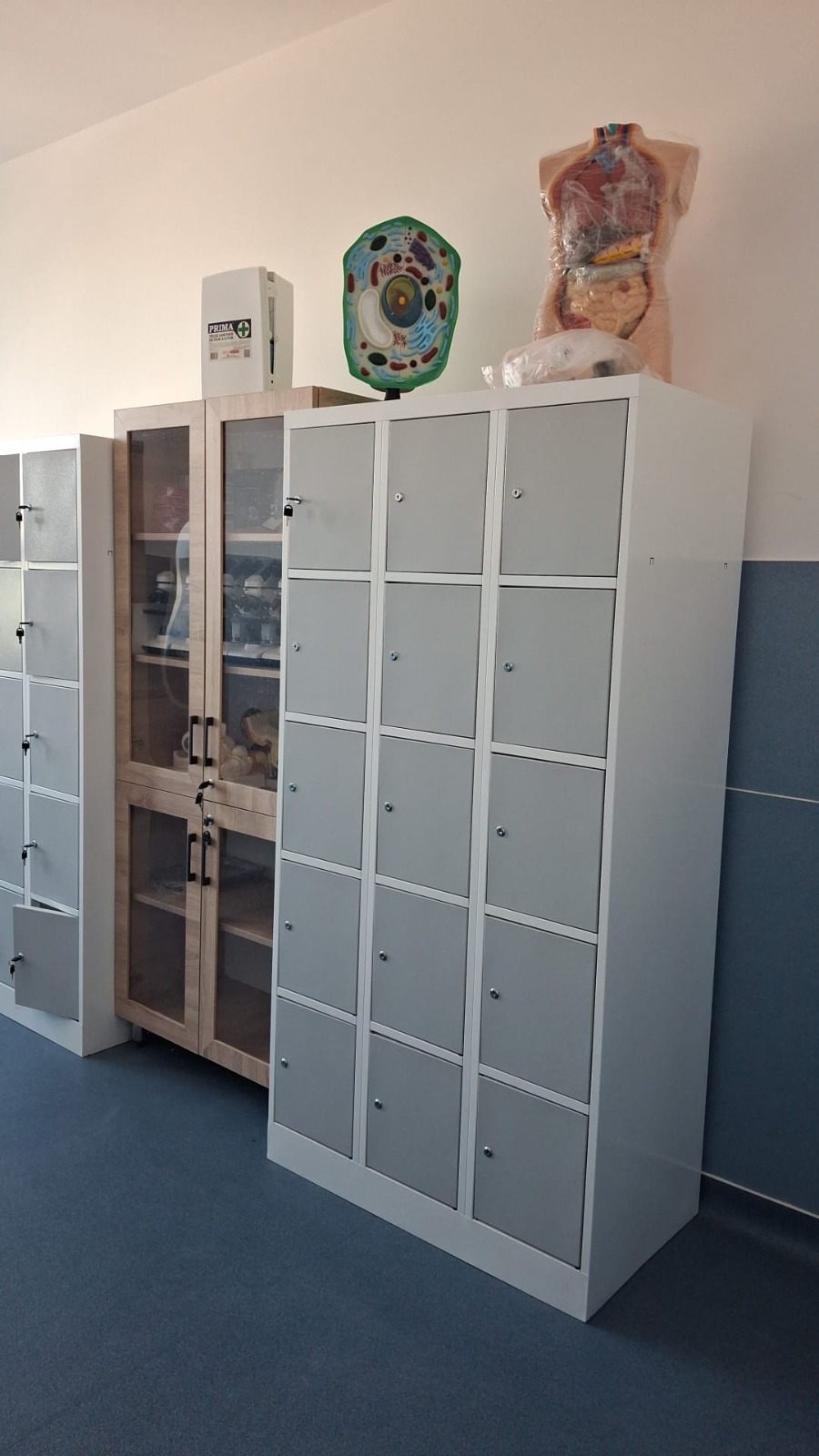 cabinete scolare (12)