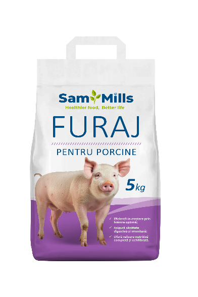 sam-furaj-porcine