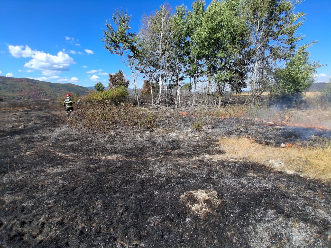 incendiu-vegetatie-bihor-pompieri-isu