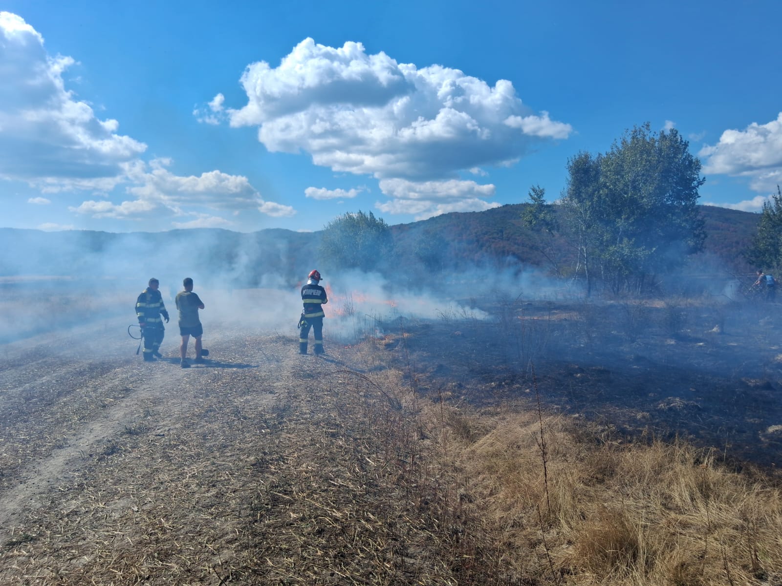incendiu-vegetatie-bihor-pompieri-isu