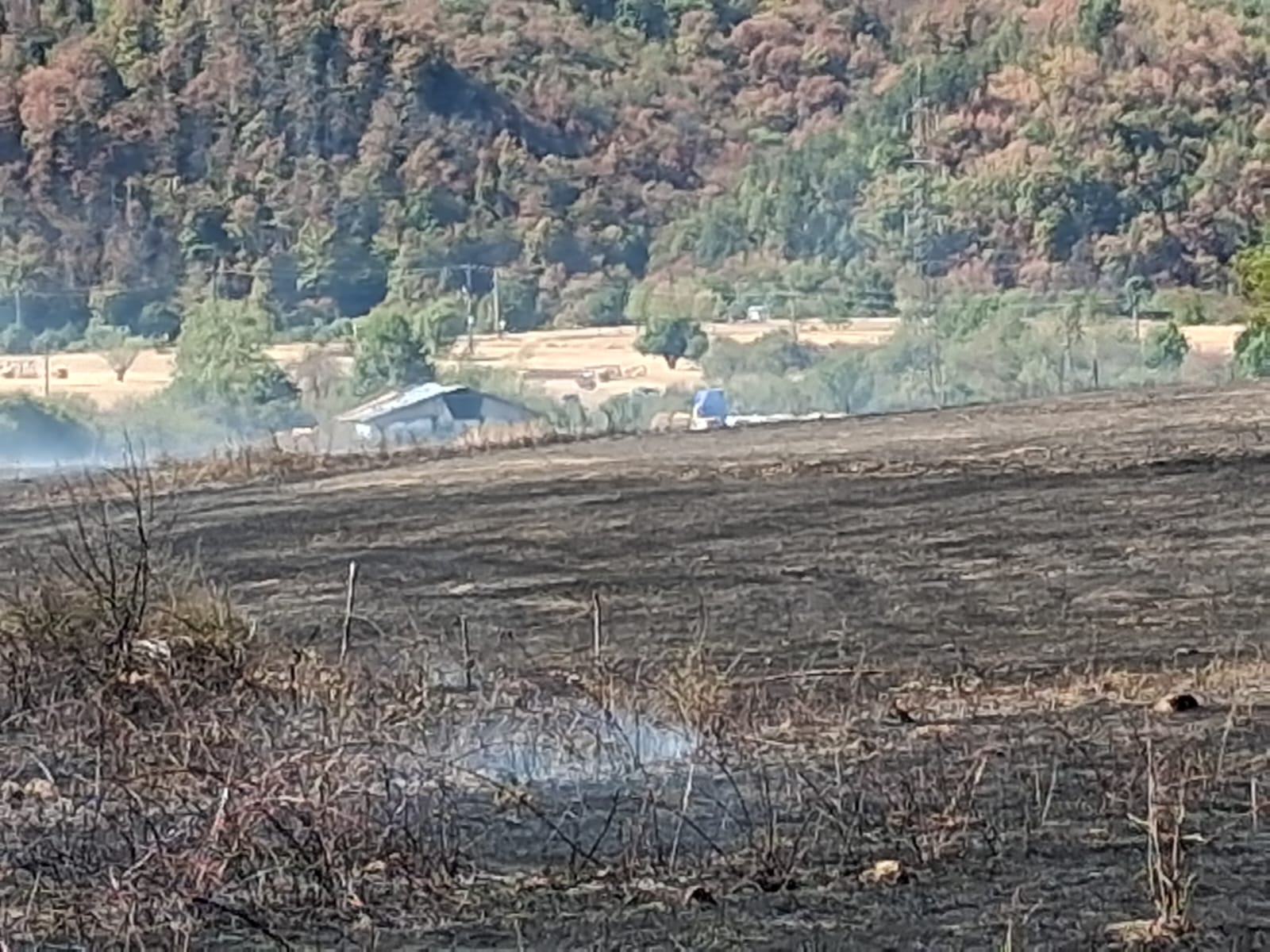 incendiu-vegetatie-bihor-pompieri-isu