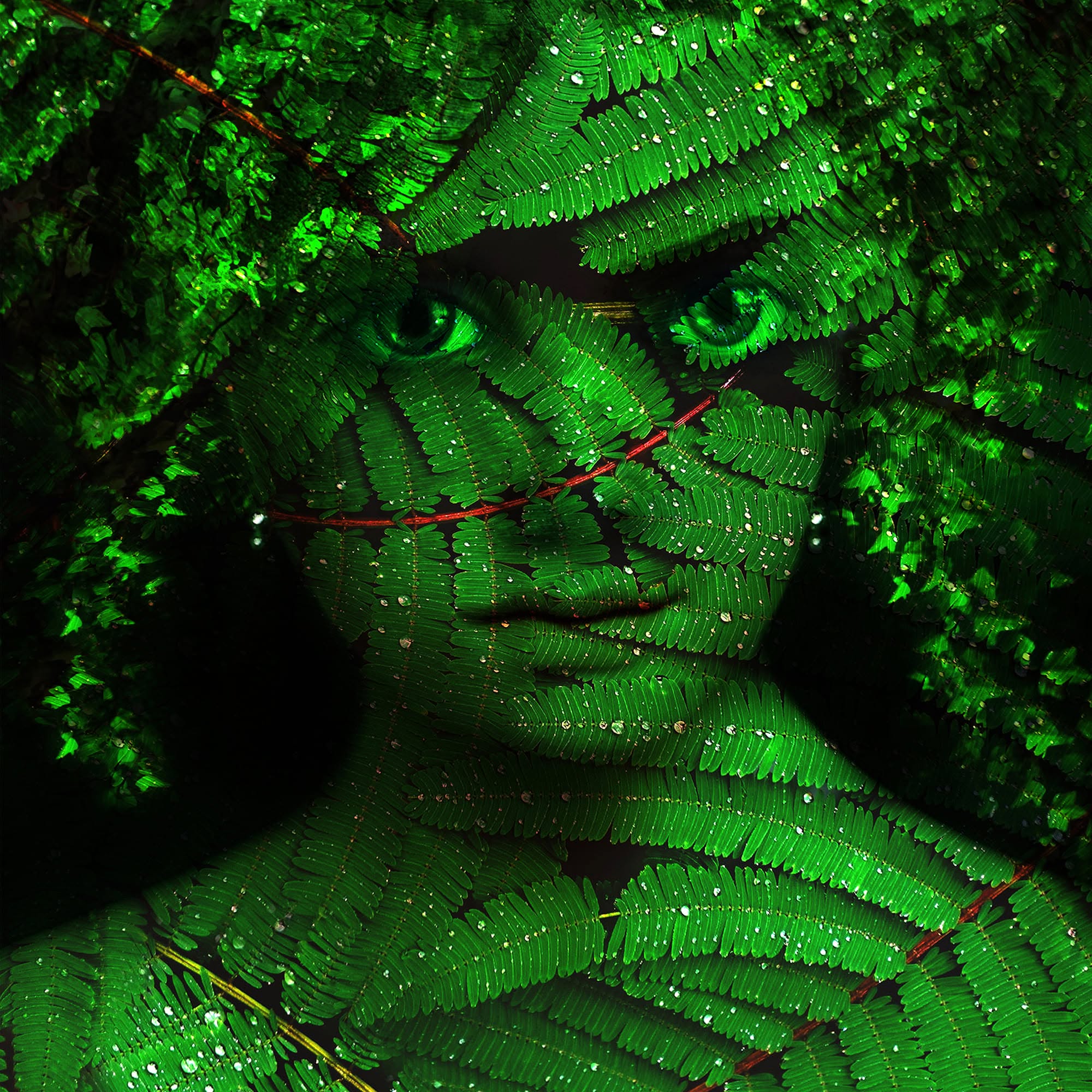 Fern Girl by Cristina Schek