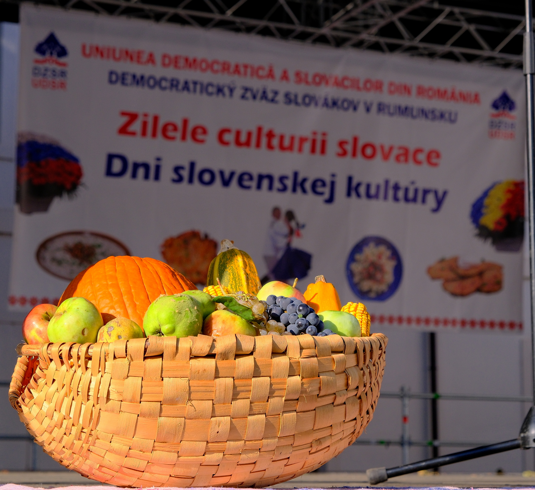Zilele Culturii Slovace (7)