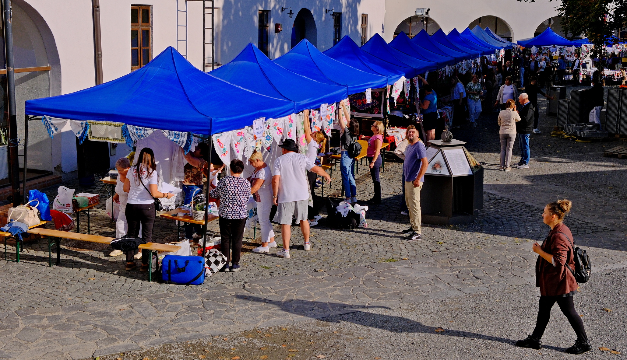 Zilele Culturii Slovace (11)