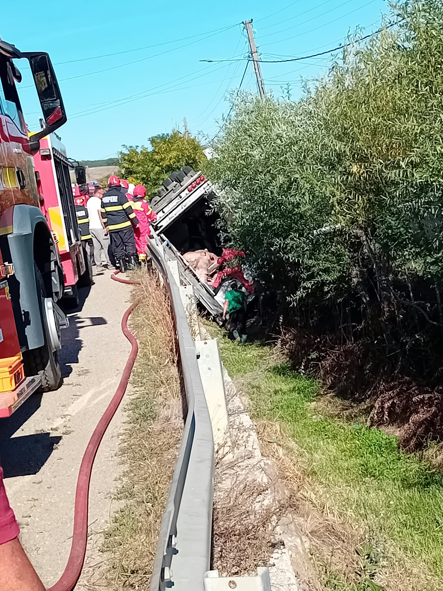 accident (5)