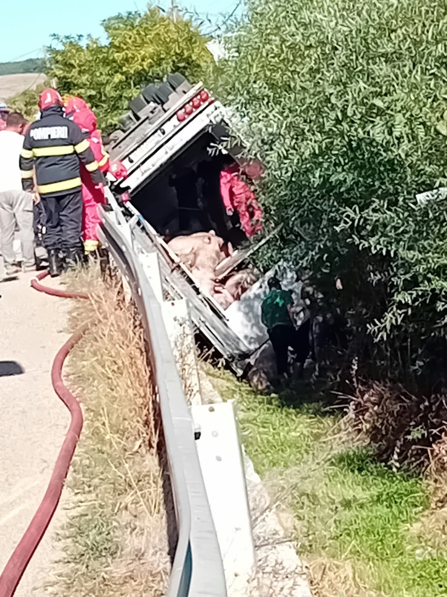 accident (6)
