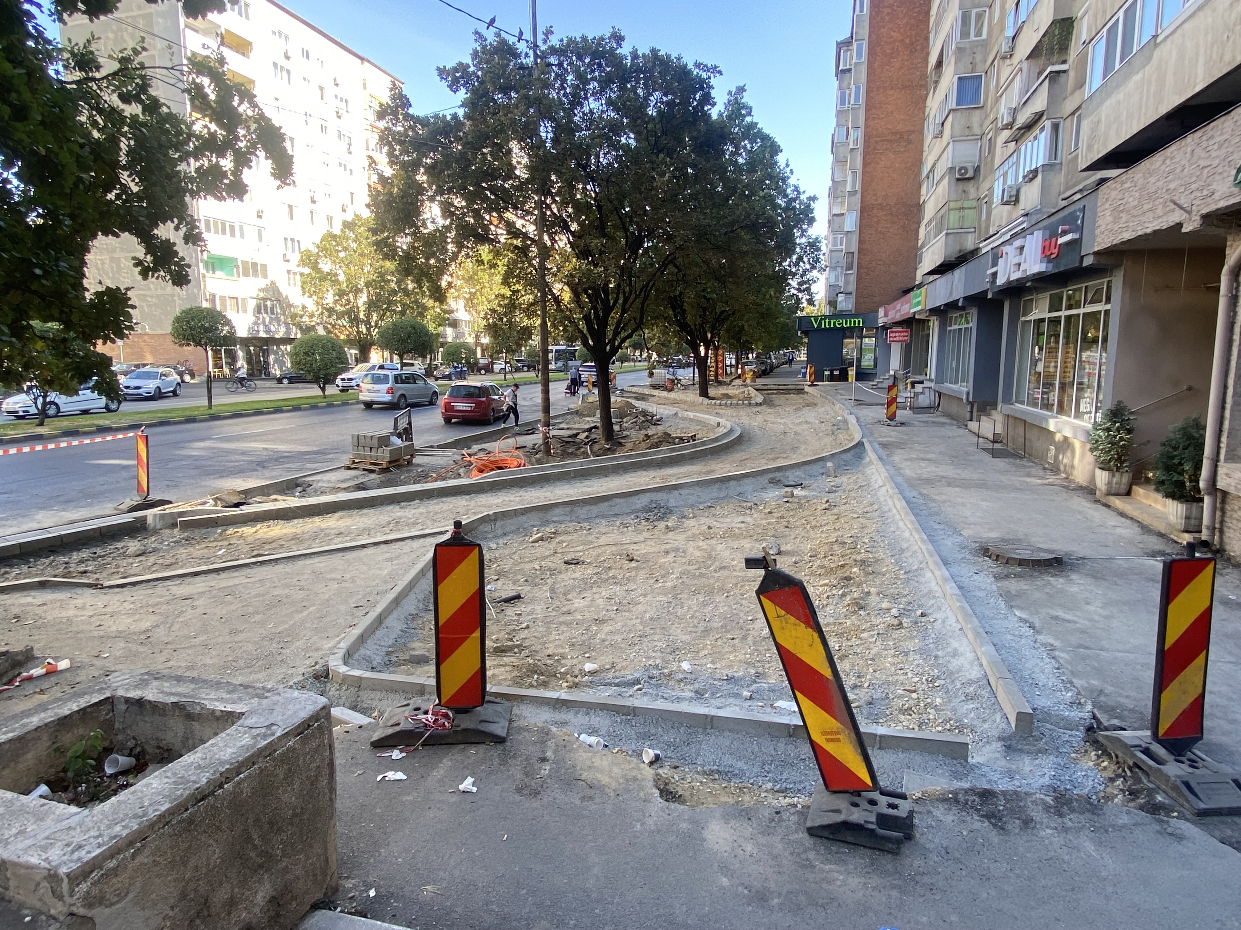 bulevardul-dacia (4)