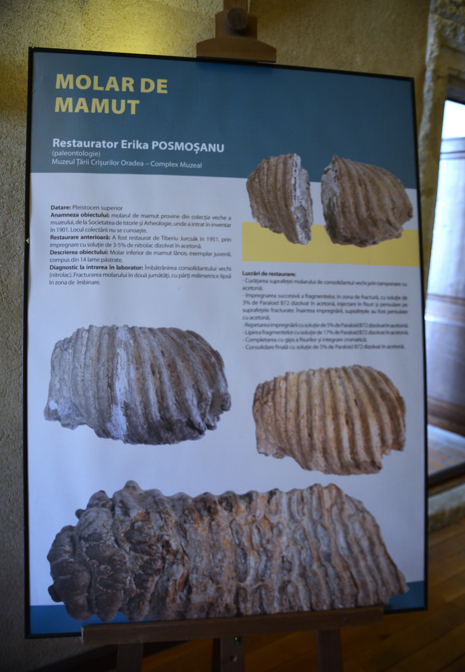Expoziţia Din umbră în lumină, cu obiecte restaurate (2)