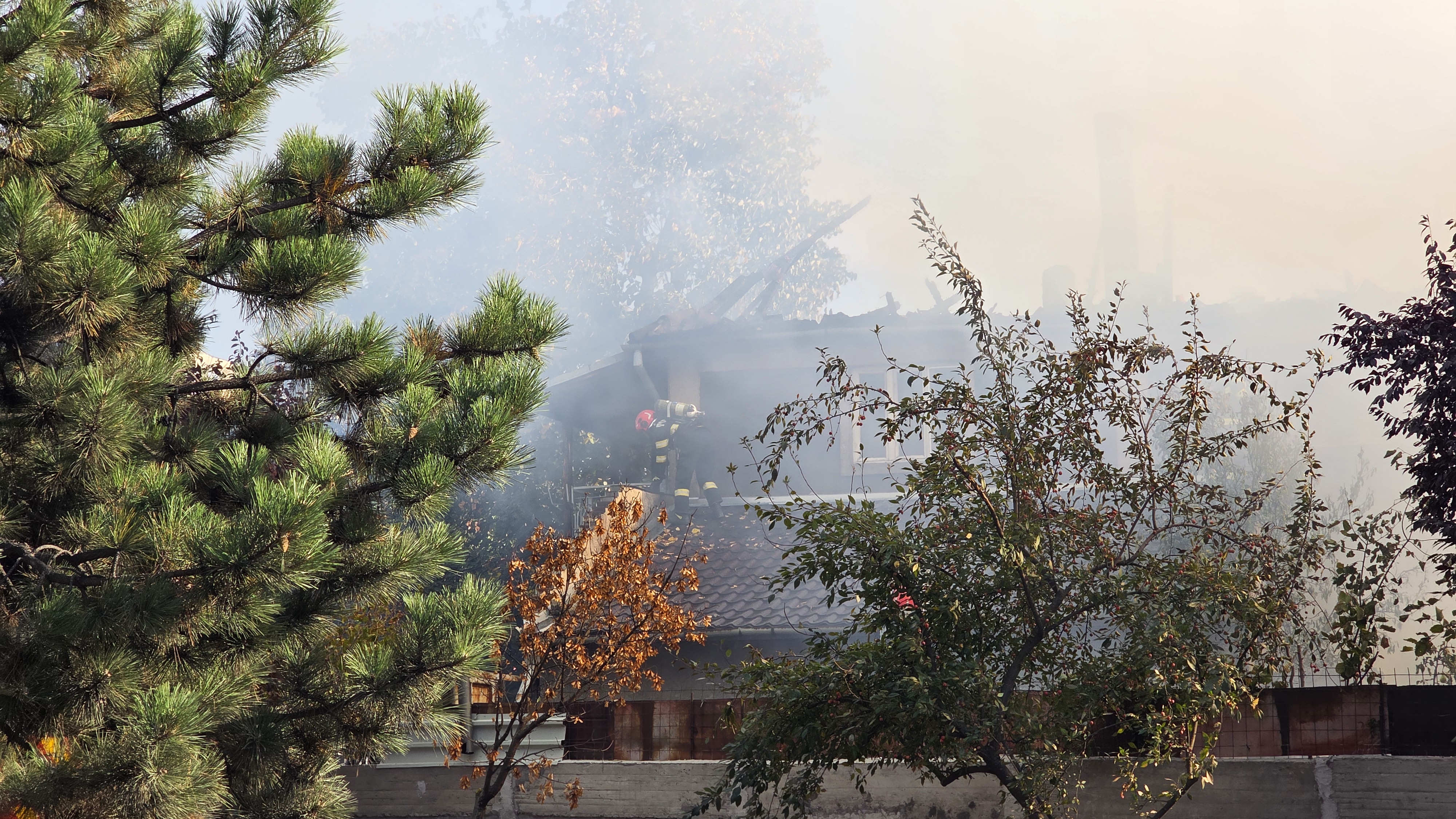 incendiu (3)