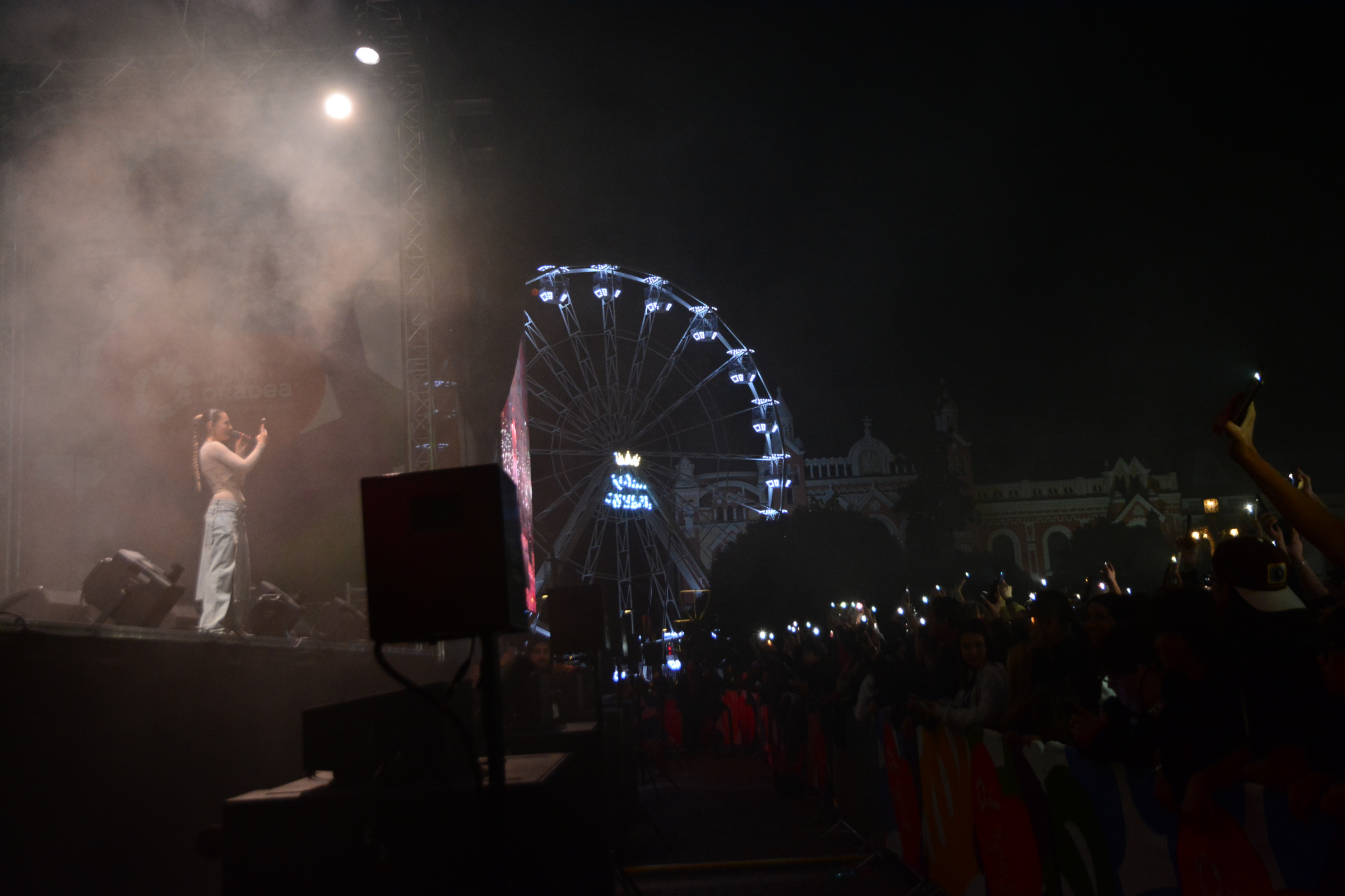 DSC_9998 (6)