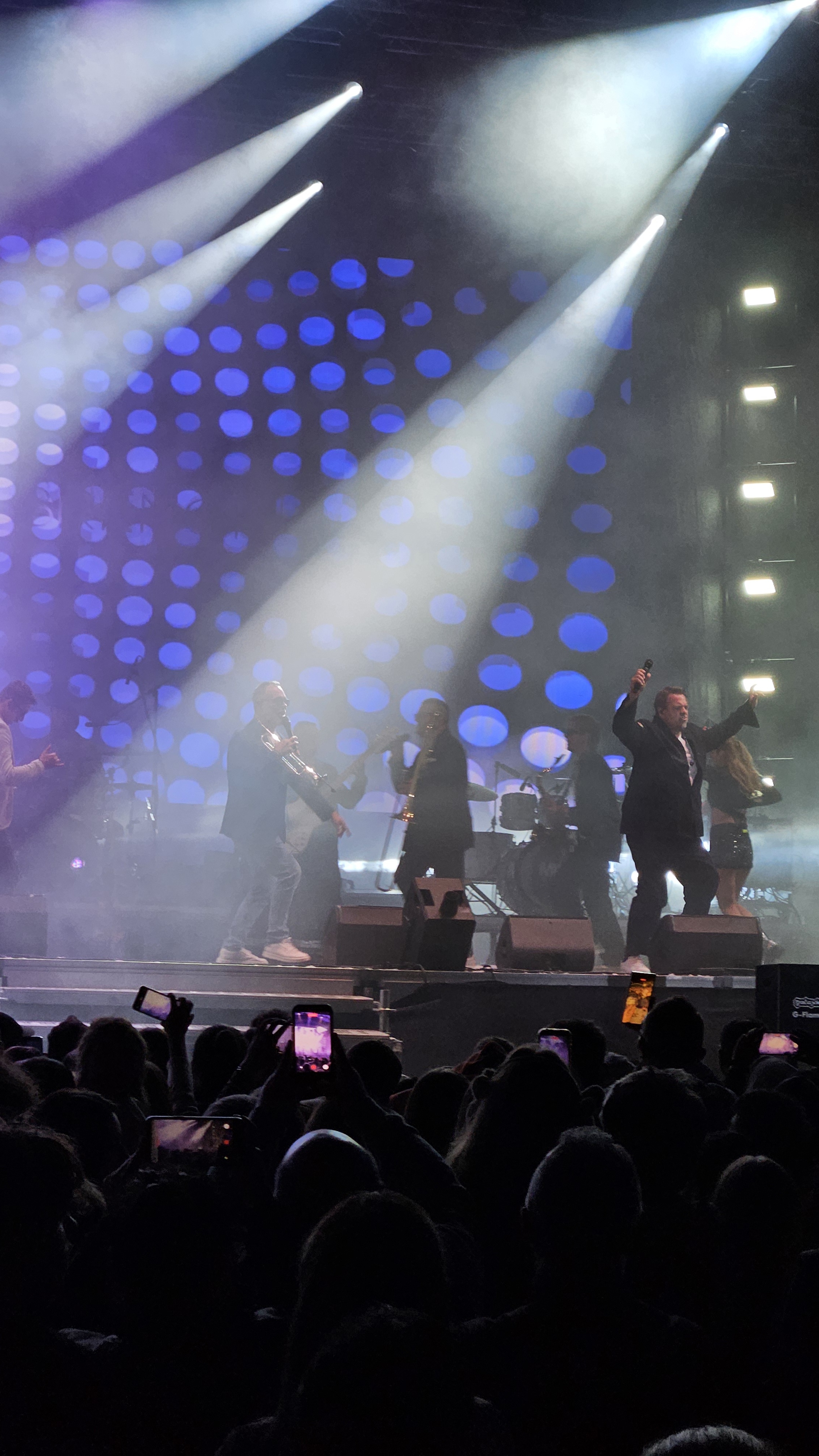 concerte (39)