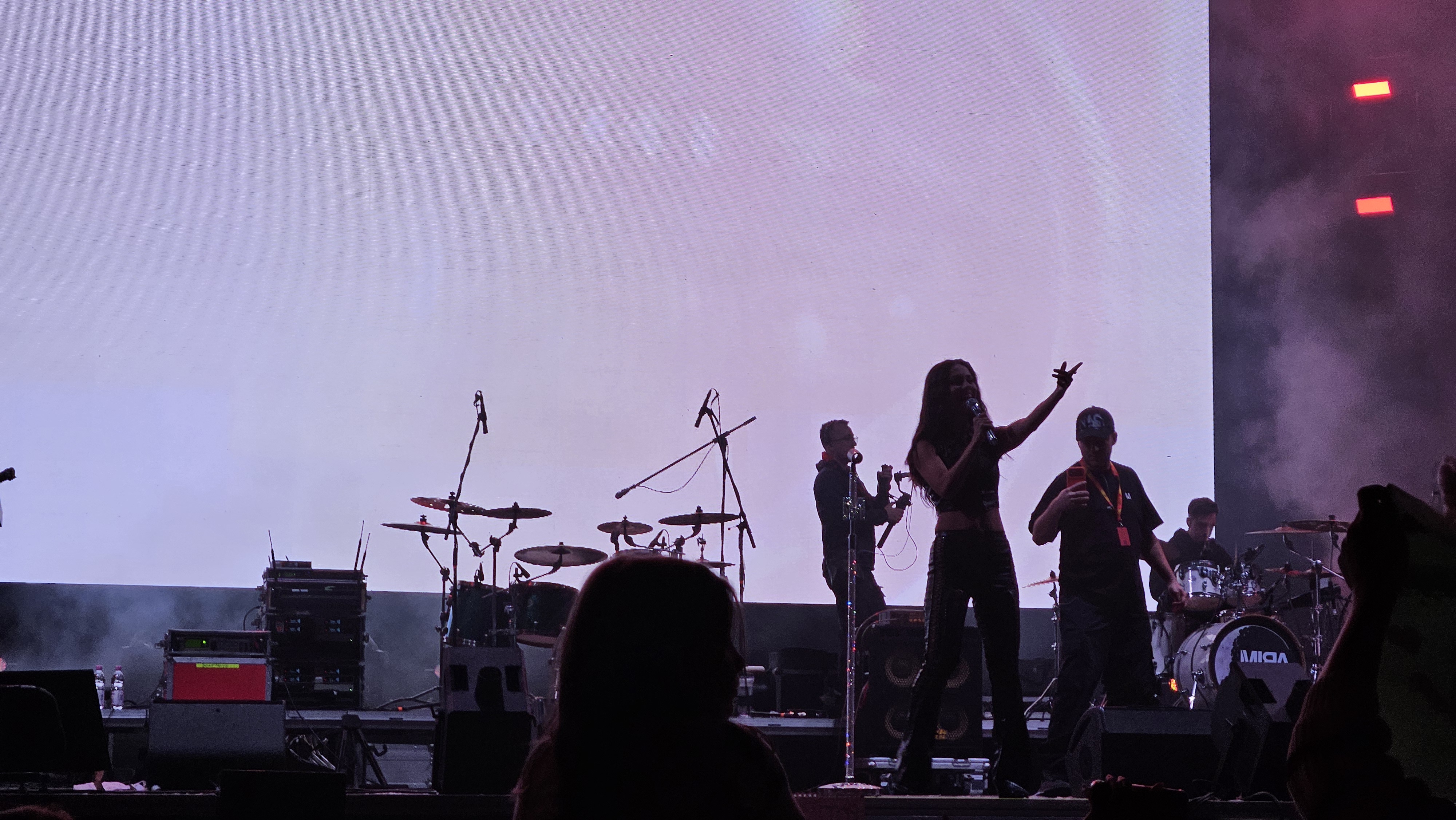concerte (8)