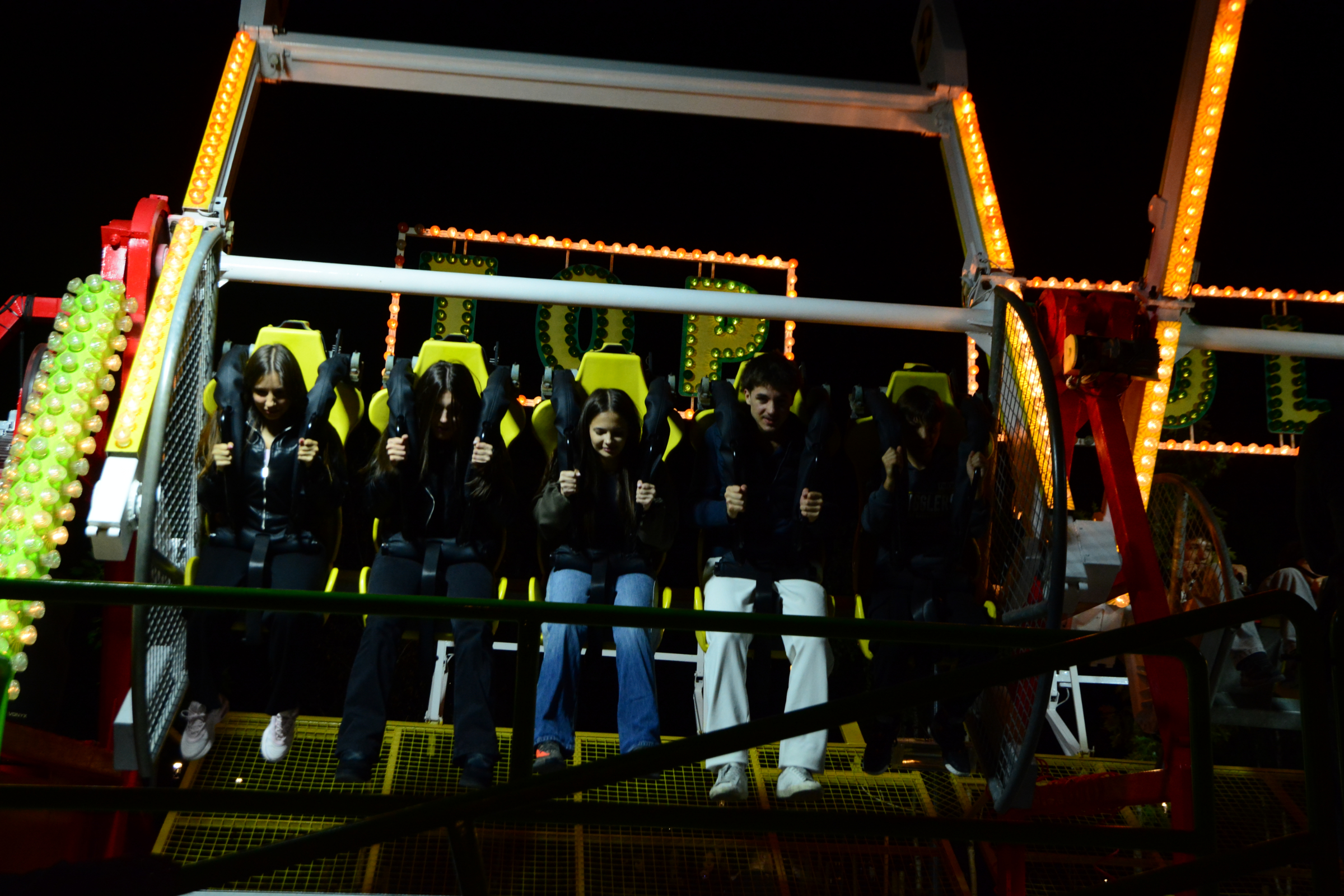 festifall (12)