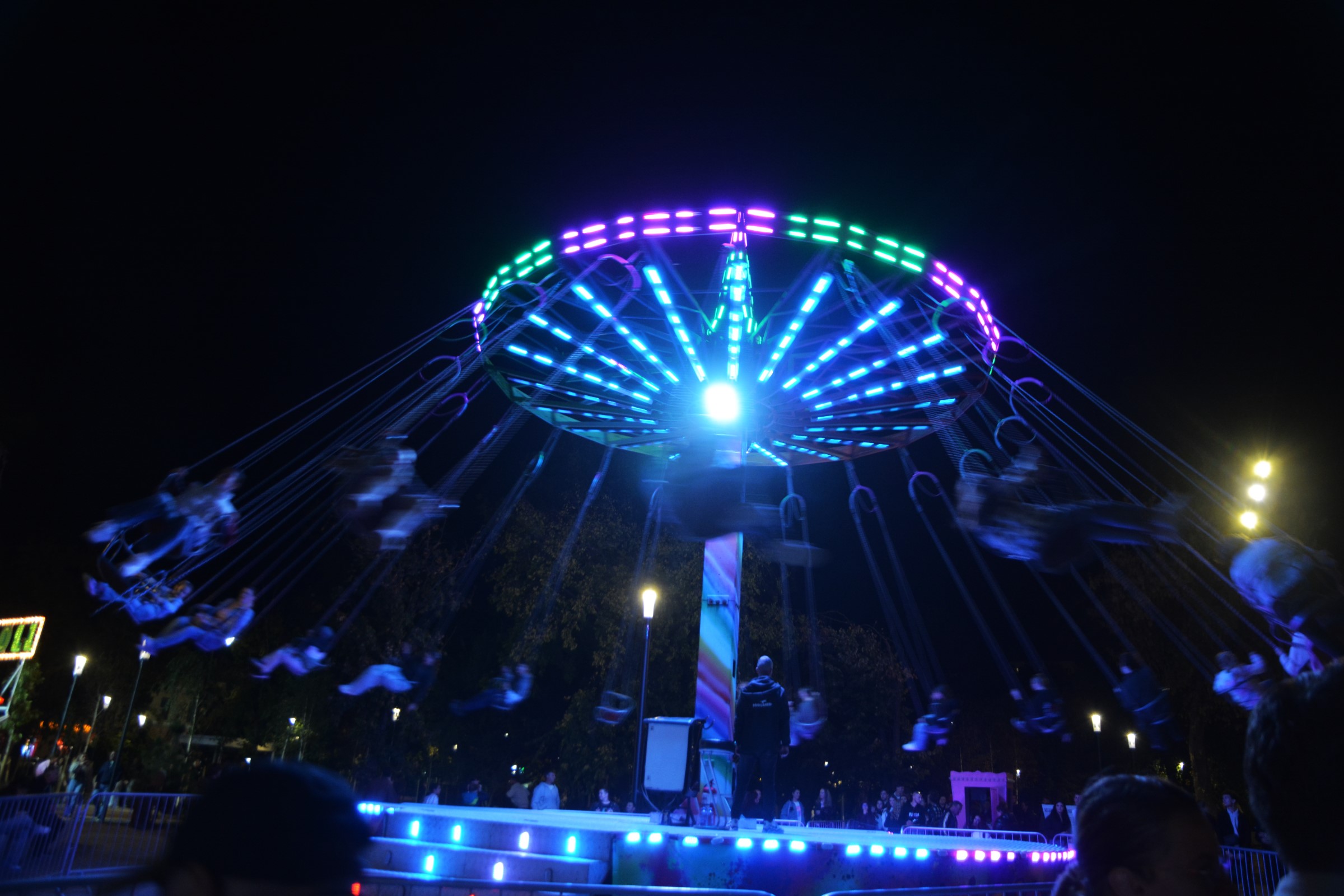 festifall (18)