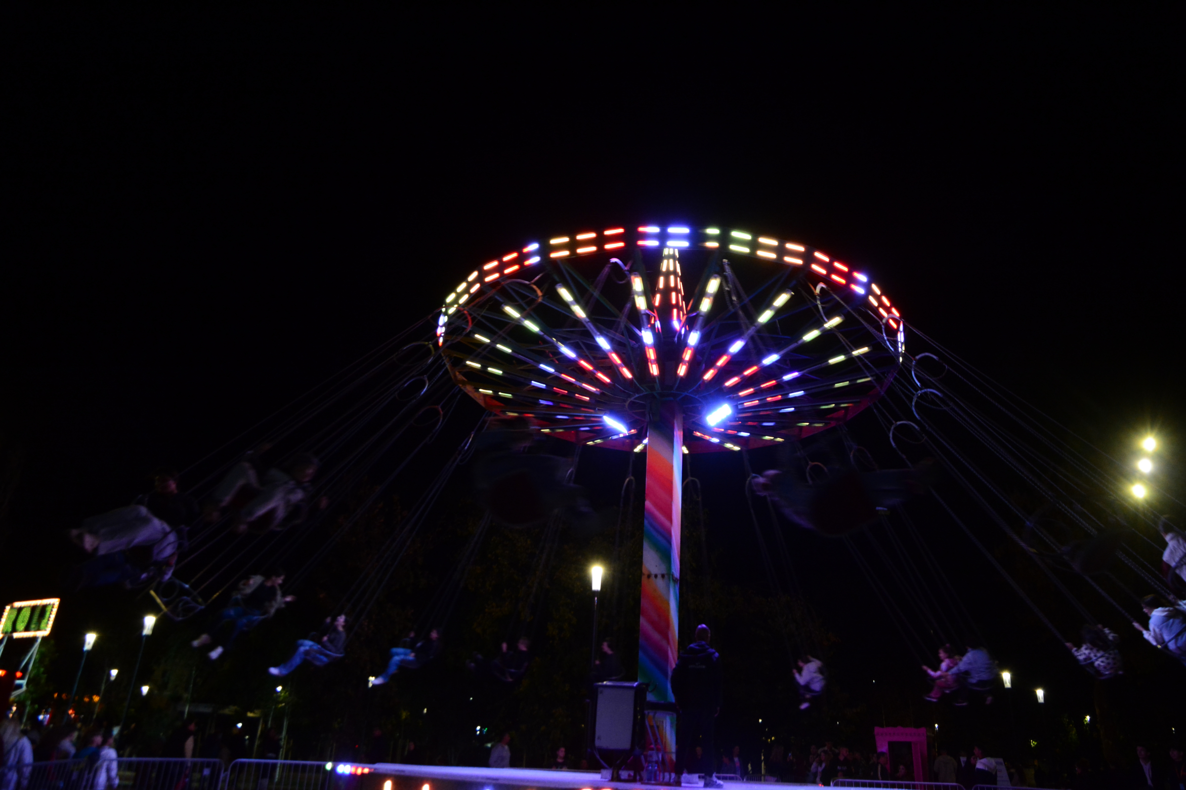 festifall (19)