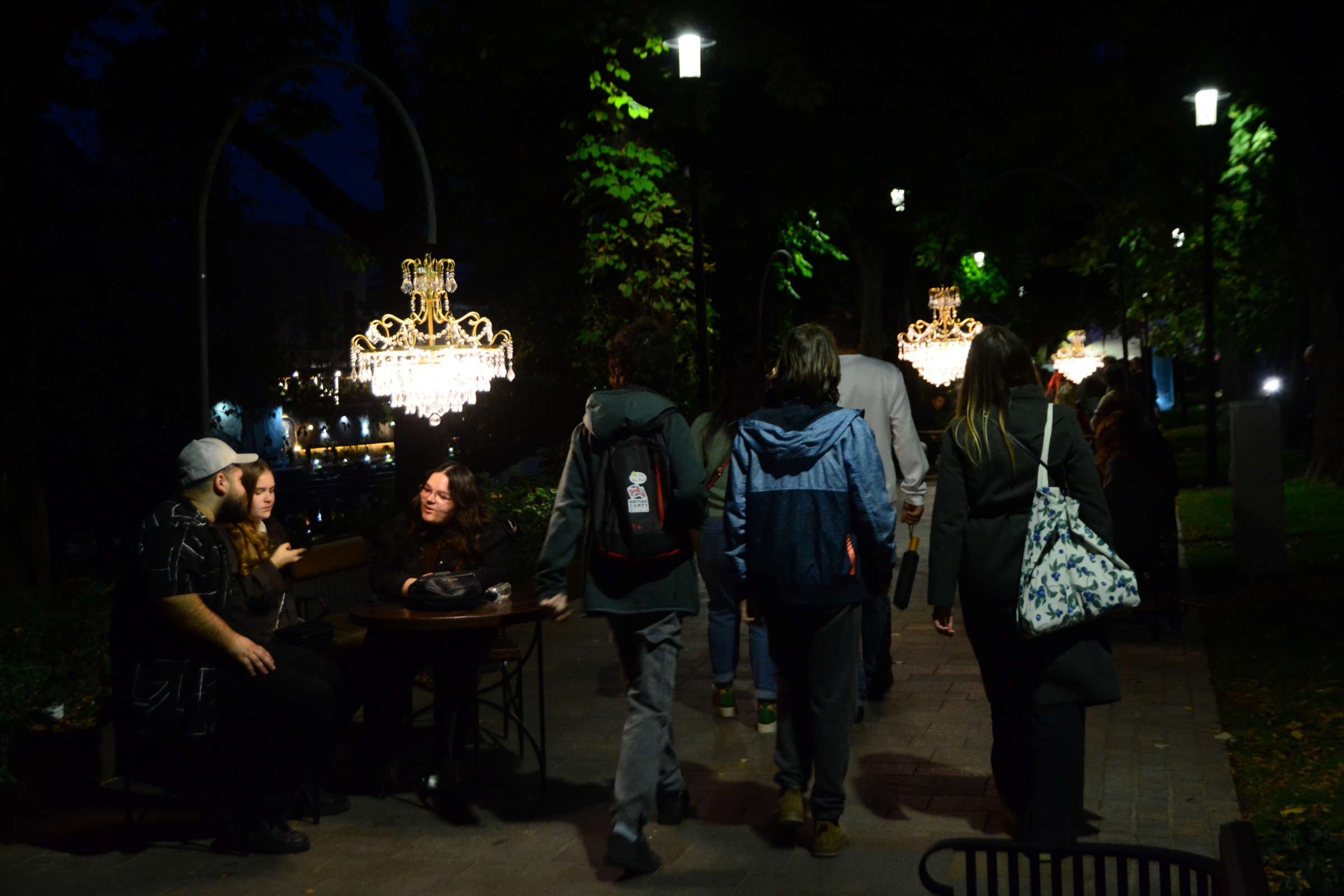 festifall (29)