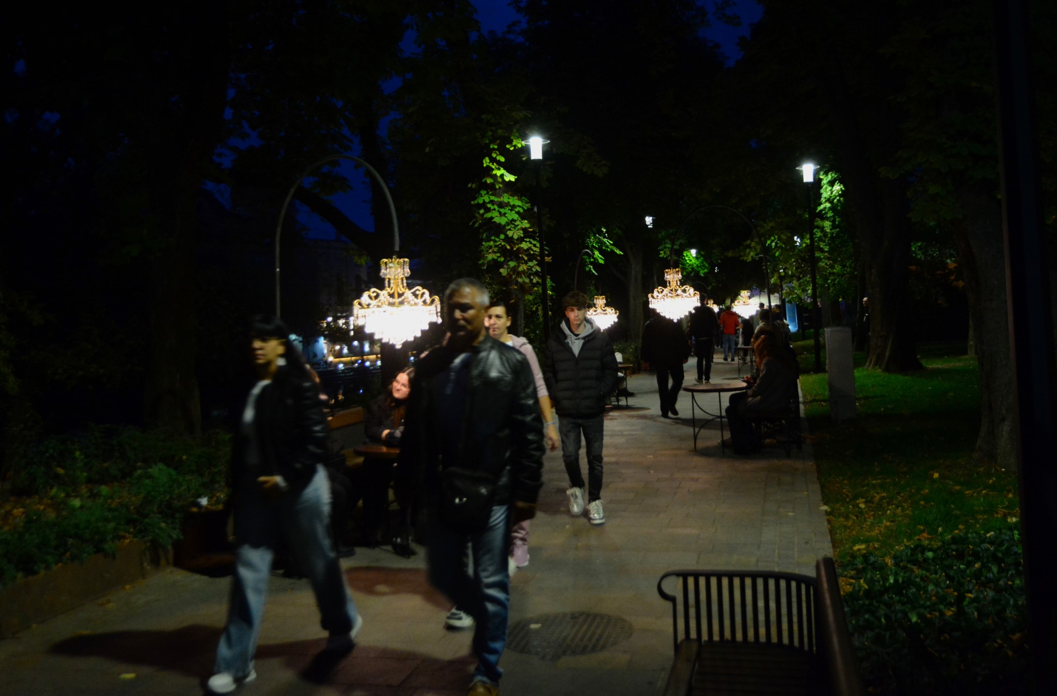 festifall (30)