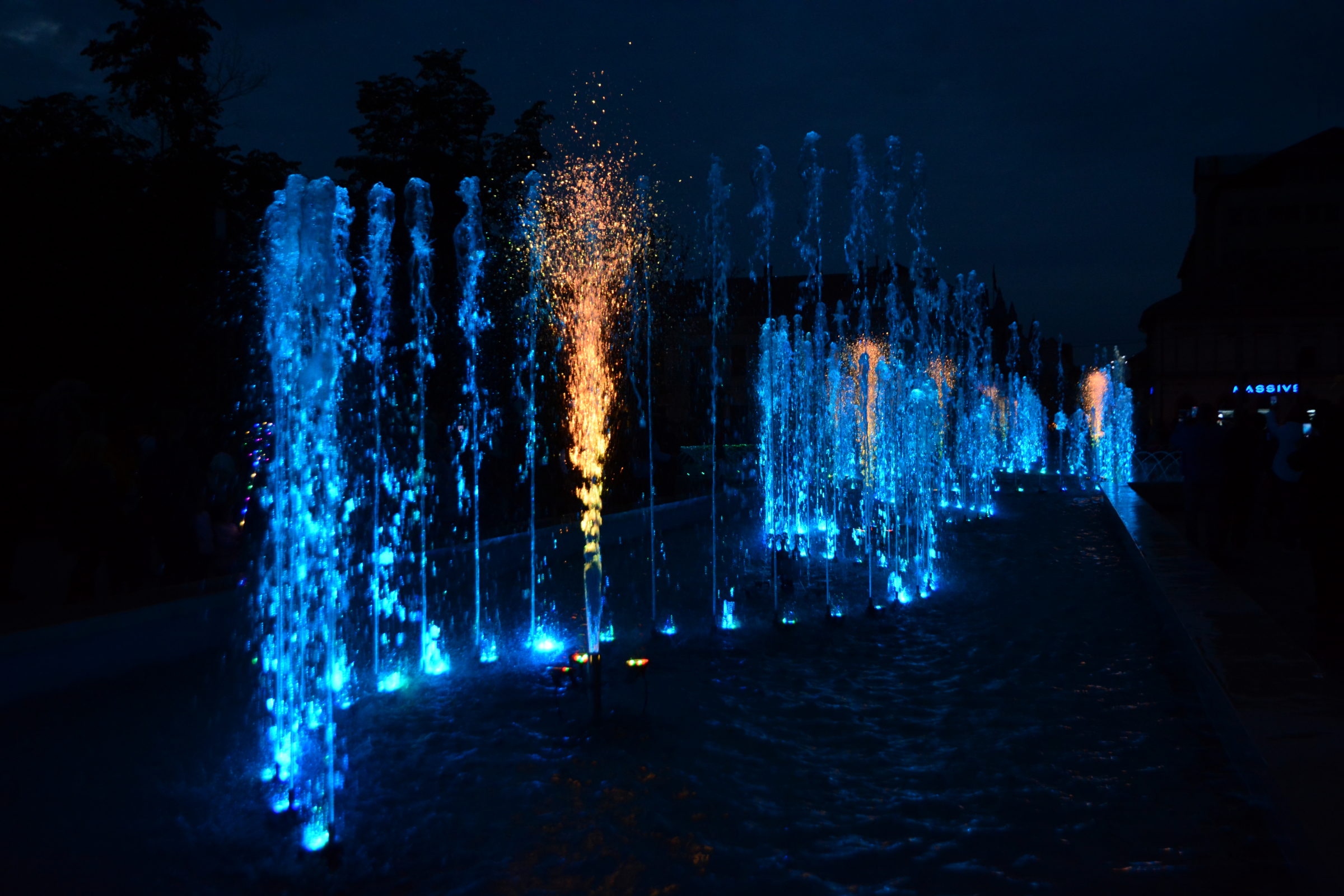 festifall (31)