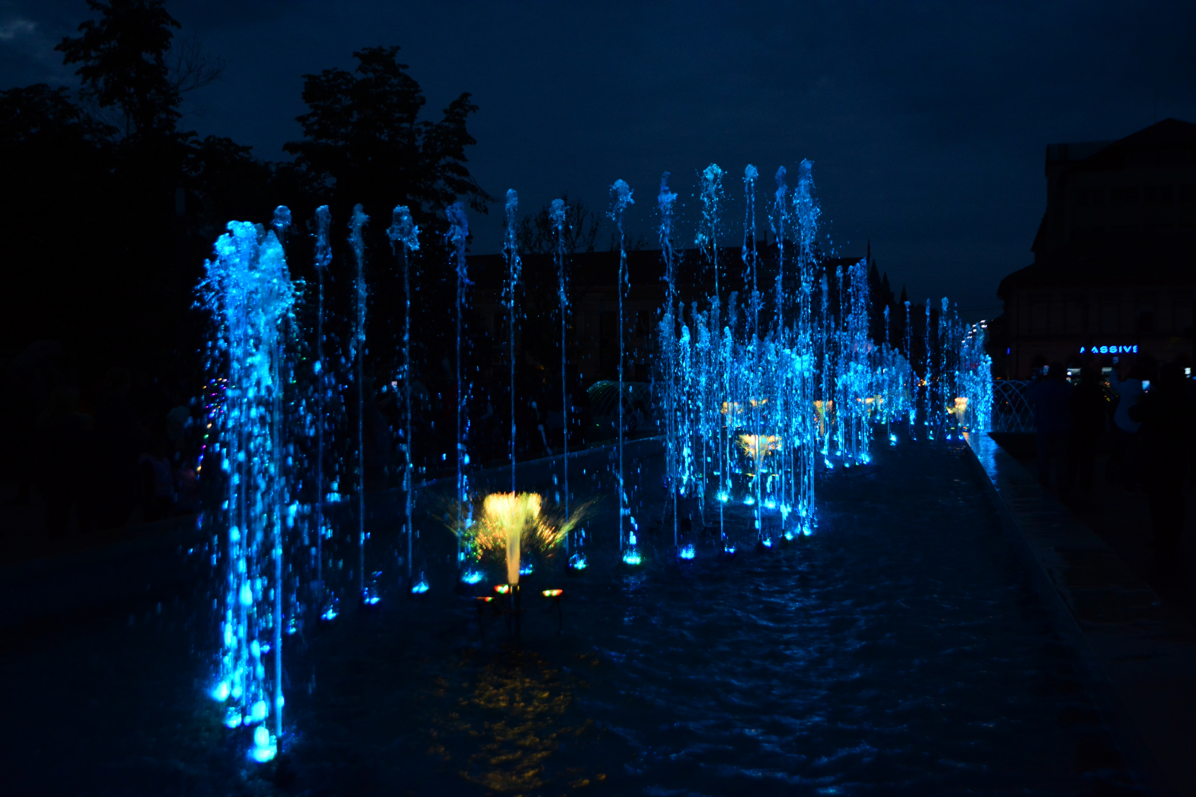 festifall (32)