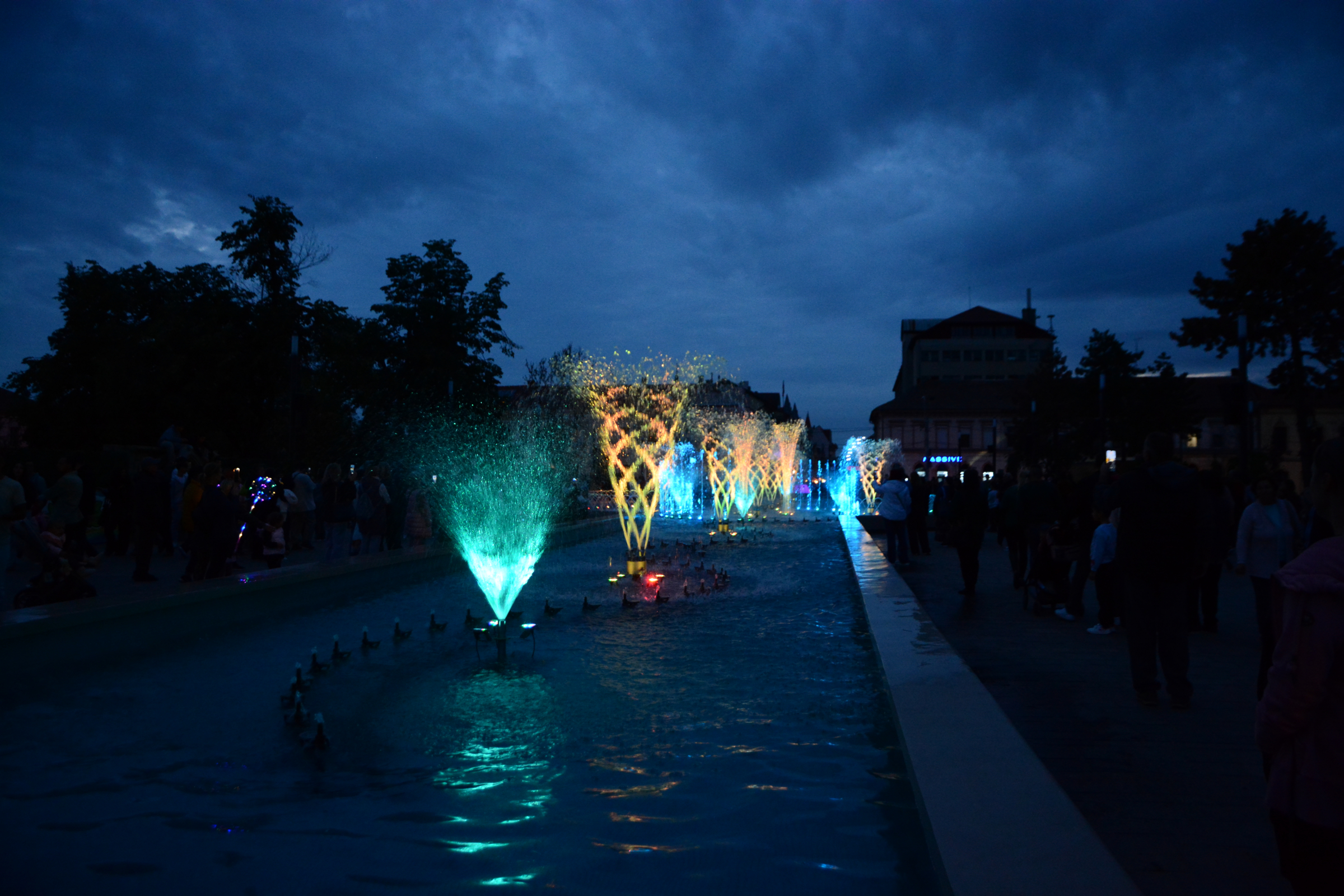 festifall (33)