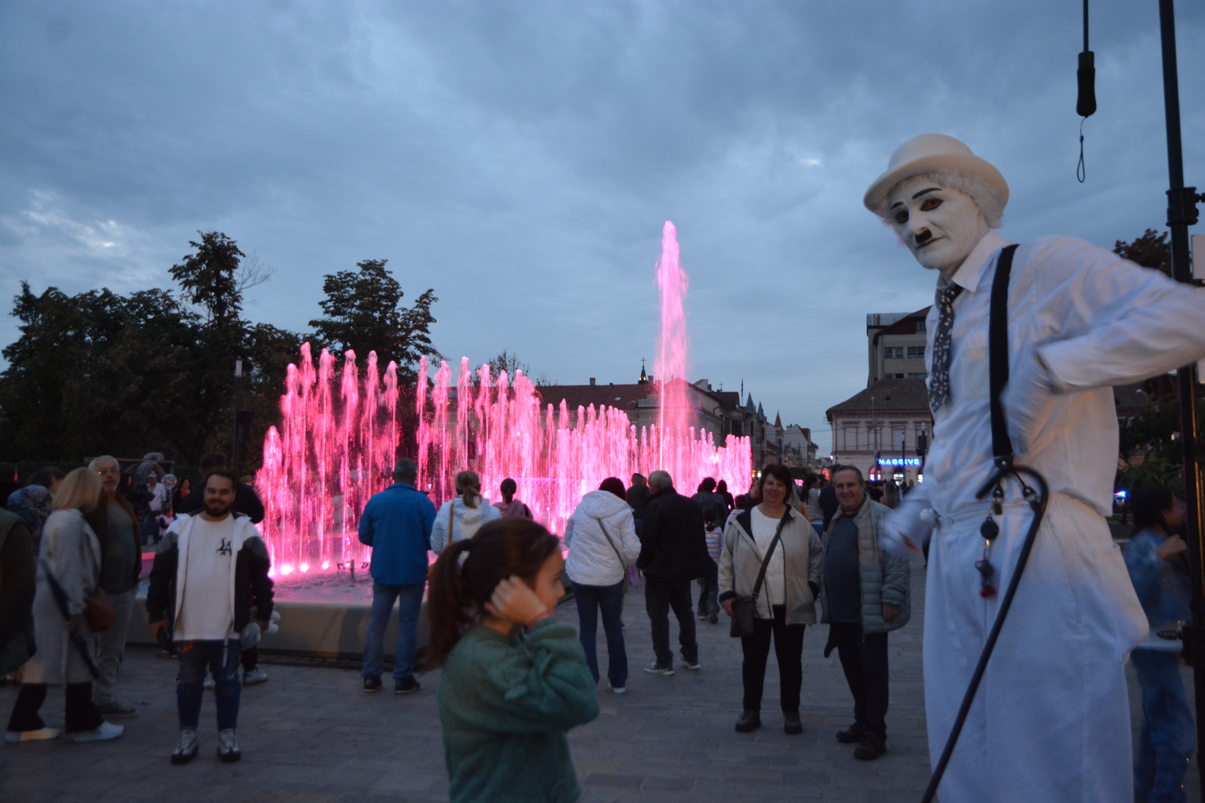 festifall (40)