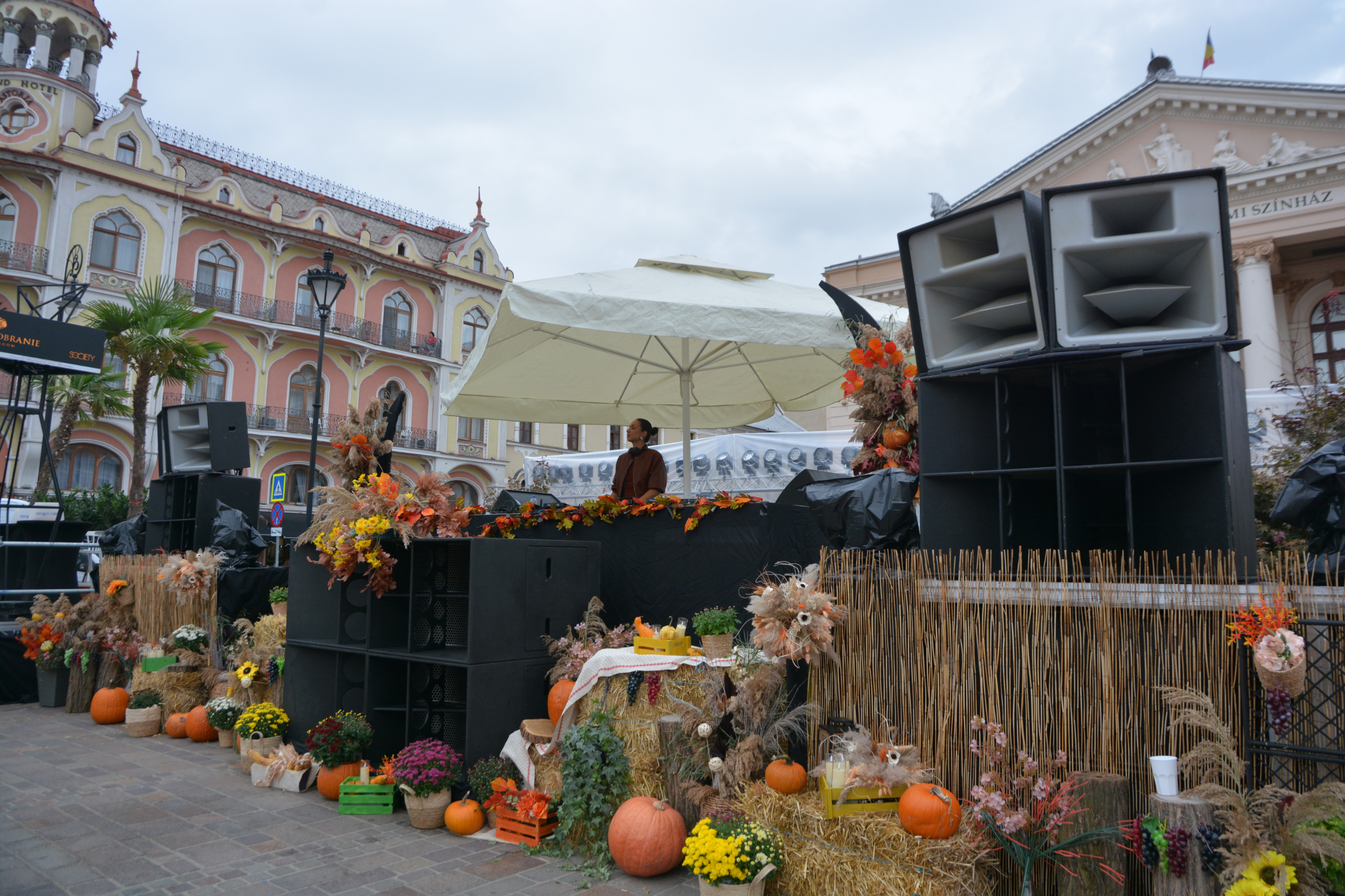 festifall (2)