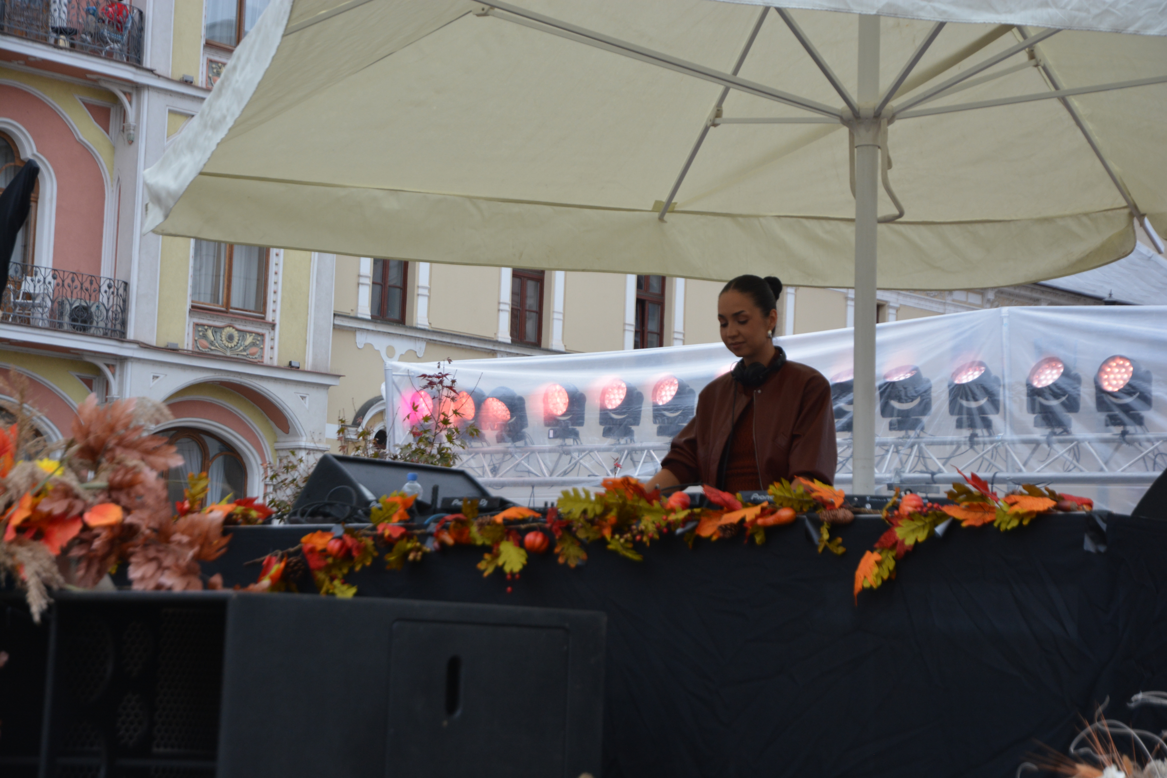 festifall (3)