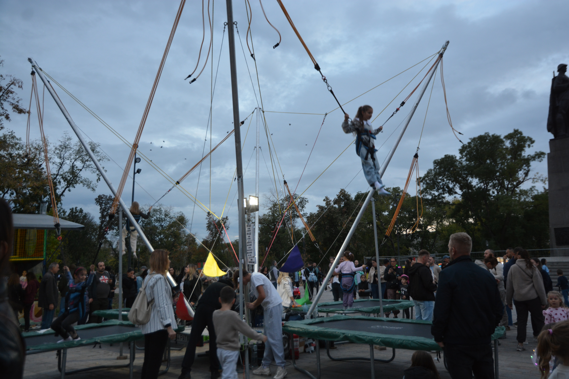 festifall (49)