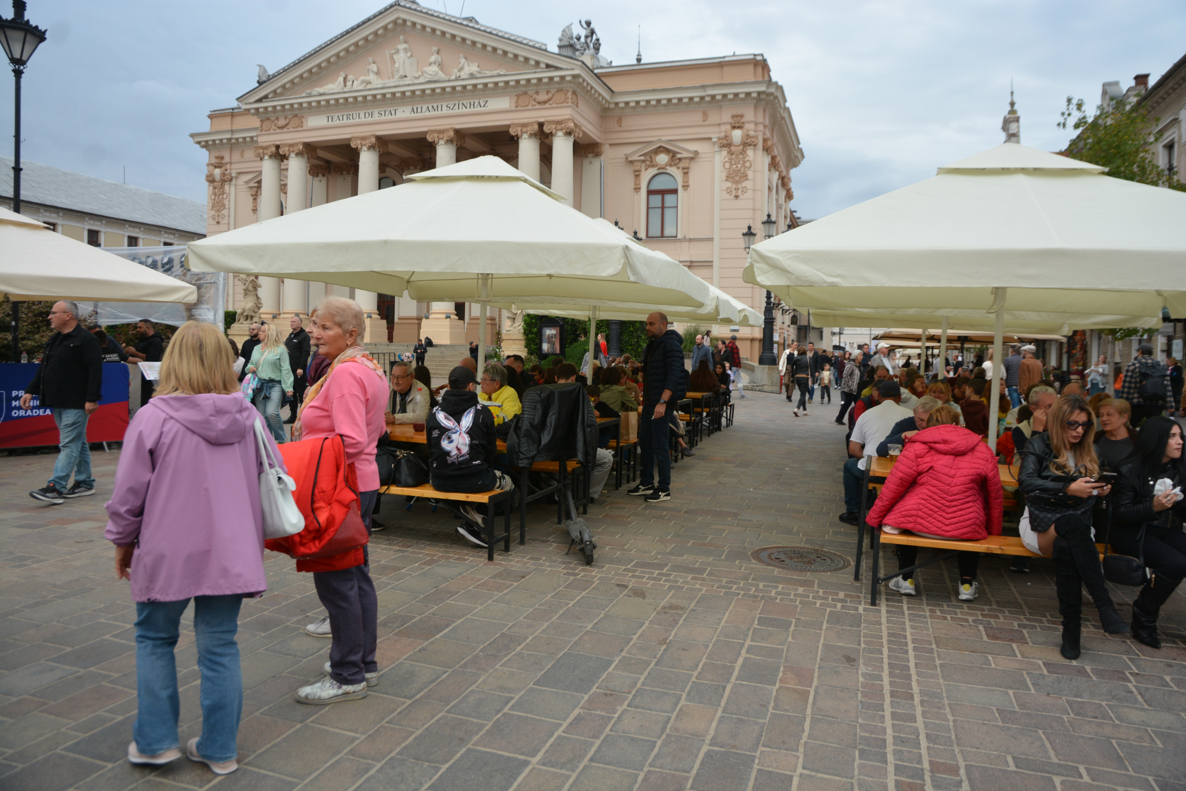 festifall (58)